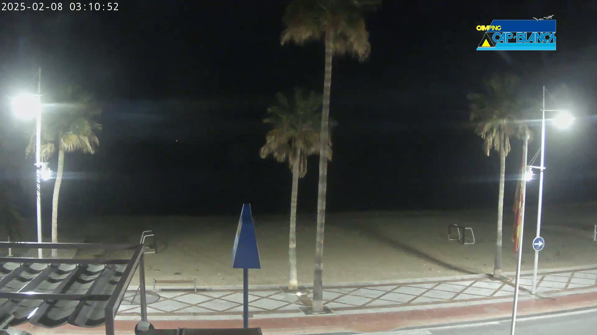 A nighttime view of a sandy beach with palm trees, streetlights, and a paved walkway.