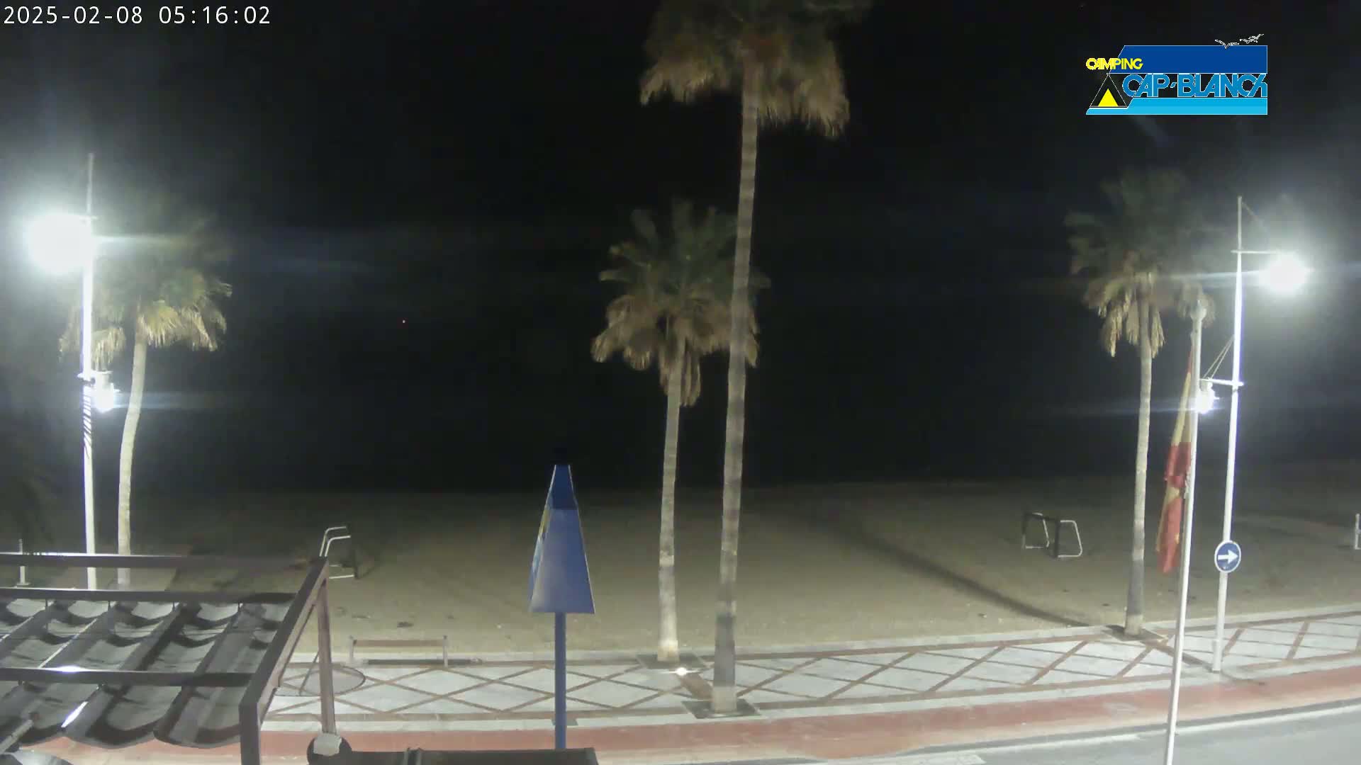 A nighttime view of a sandy beach with palm trees, streetlights, and a paved walkway.