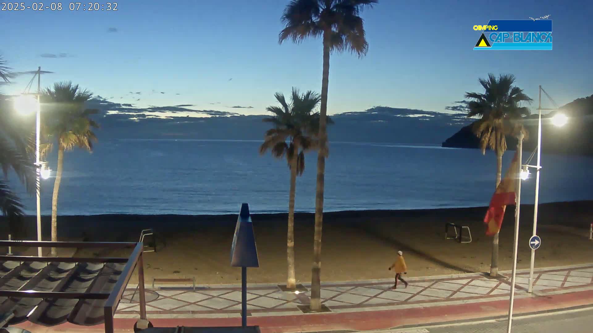 A person walks along a paved beachfront path at dawn, past palm trees, under streetlights, with a calm sea in the background.