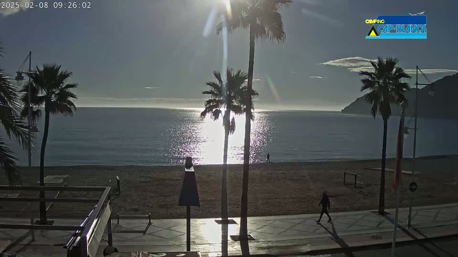 A calm, sunny morning at a beach, with palm trees lining a paved walkway beside a sandy shore and calm sea.