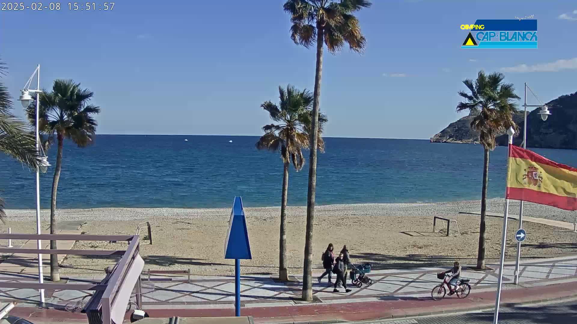 A sunny day at a beach with palm trees, people walking and a person biking along a paved path next to the sand.