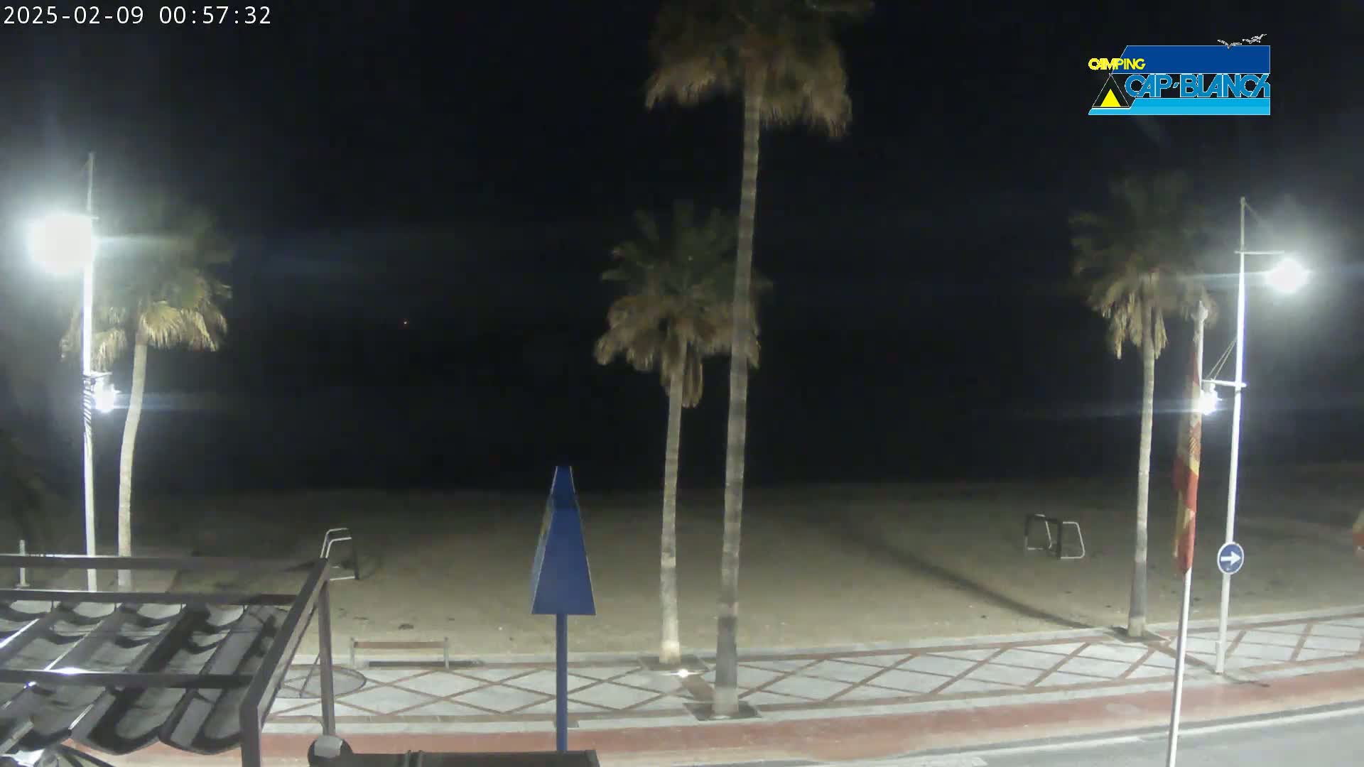 A nighttime view of a sandy beach with palm trees and streetlights, under a clear, dark sky.