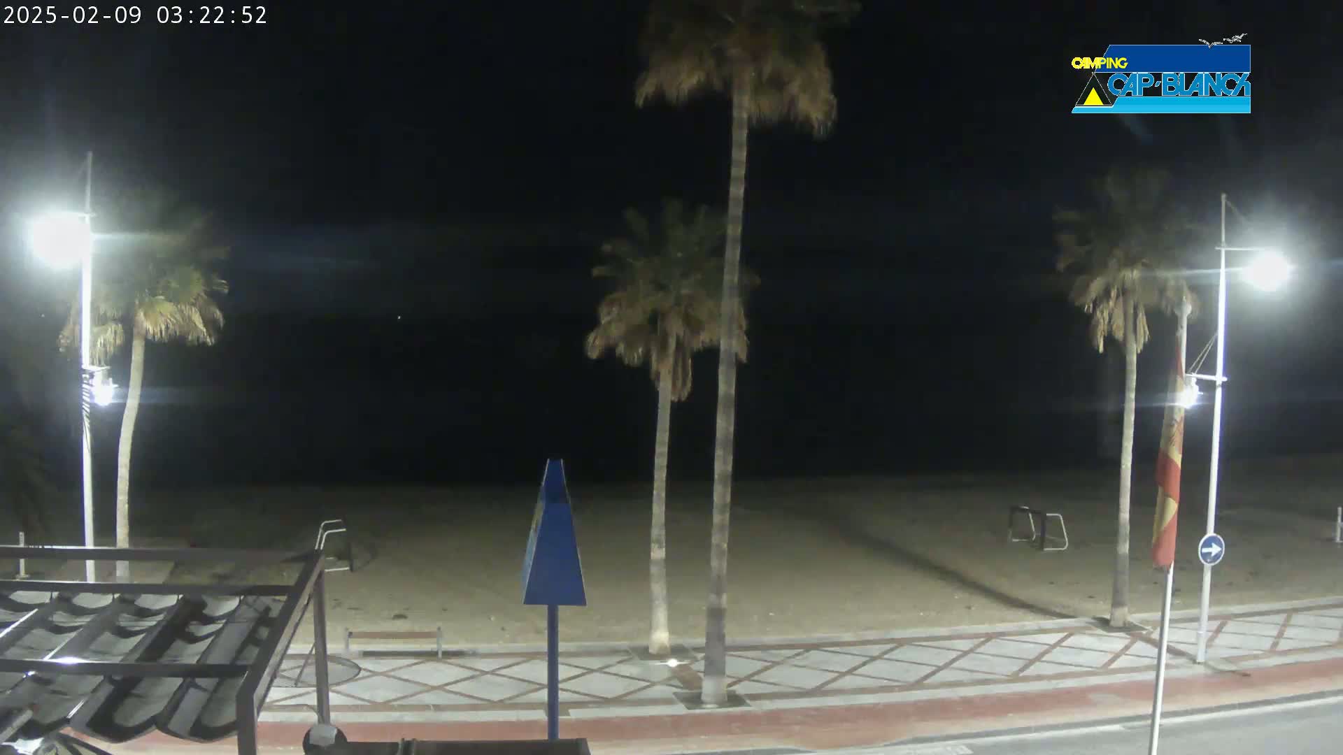 A nighttime view of a sandy beach with palm trees, streetlights, and a paved walkway.