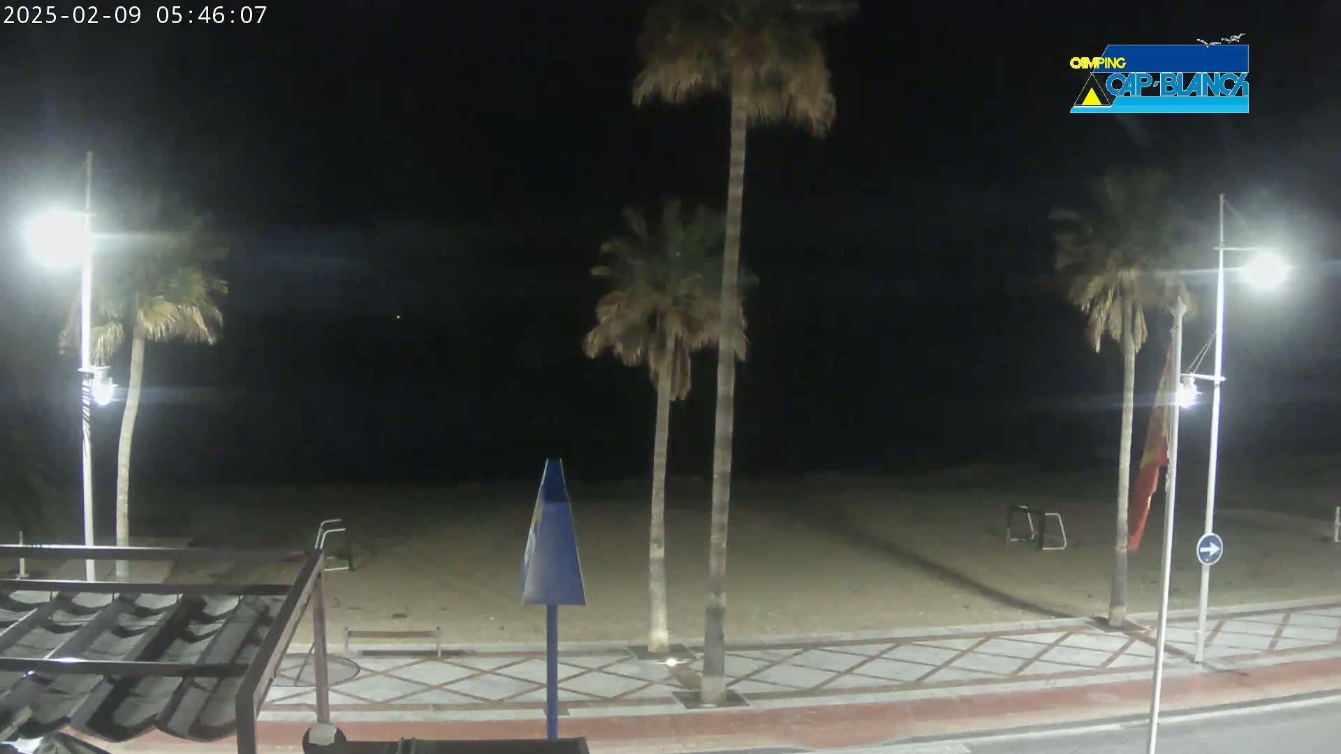 A nighttime view of a sandy beach with palm trees, streetlights, and a paved walkway.