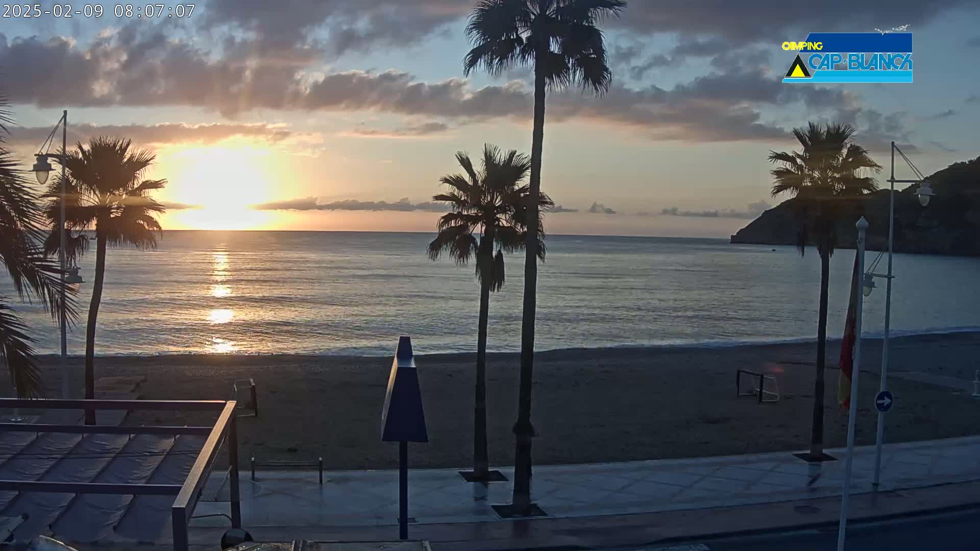 A sunrise over a calm ocean beach, with several palm trees silhouetted against the rising sun and a paved walkway in the foreground.