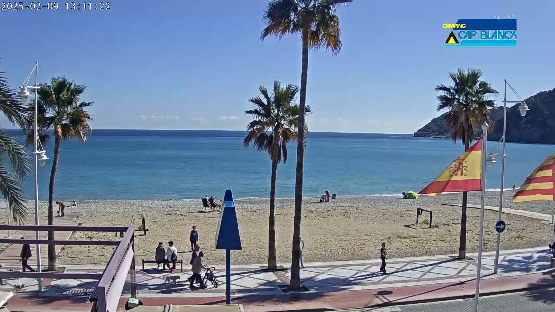 A sunny day at a beach with palm trees, people walking on the promenade, and a calm blue sea.