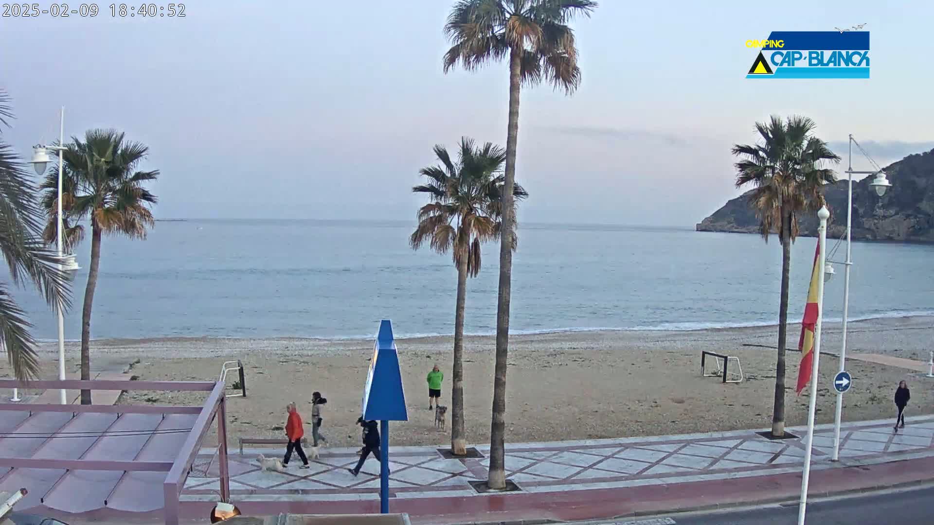 A sandy beach with calm ocean water under a pale, overcast sky is viewed from a boardwalk, where several people walk with dogs and a few palm trees stand near the beach.