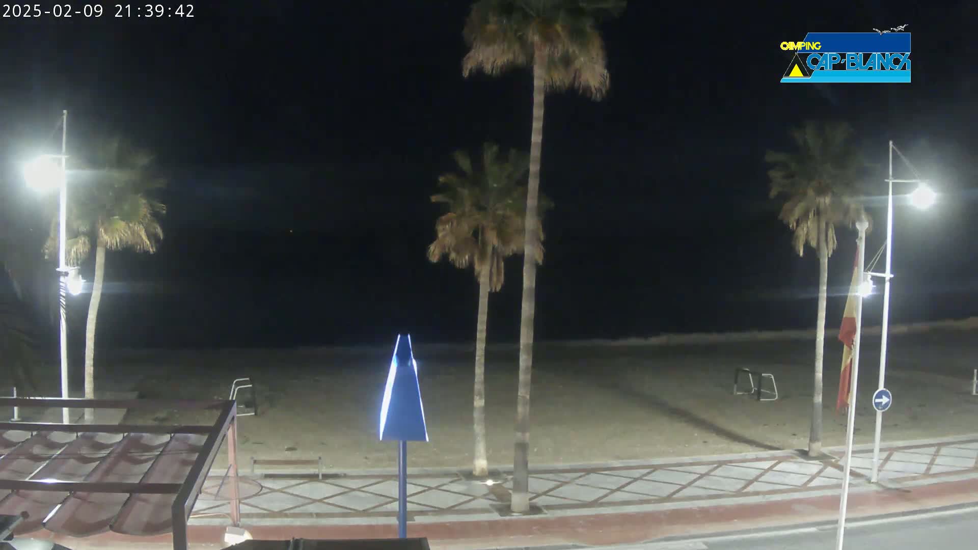 A nighttime view of a sandy beach with palm trees, streetlights, and a walkway under a clear, dark sky.