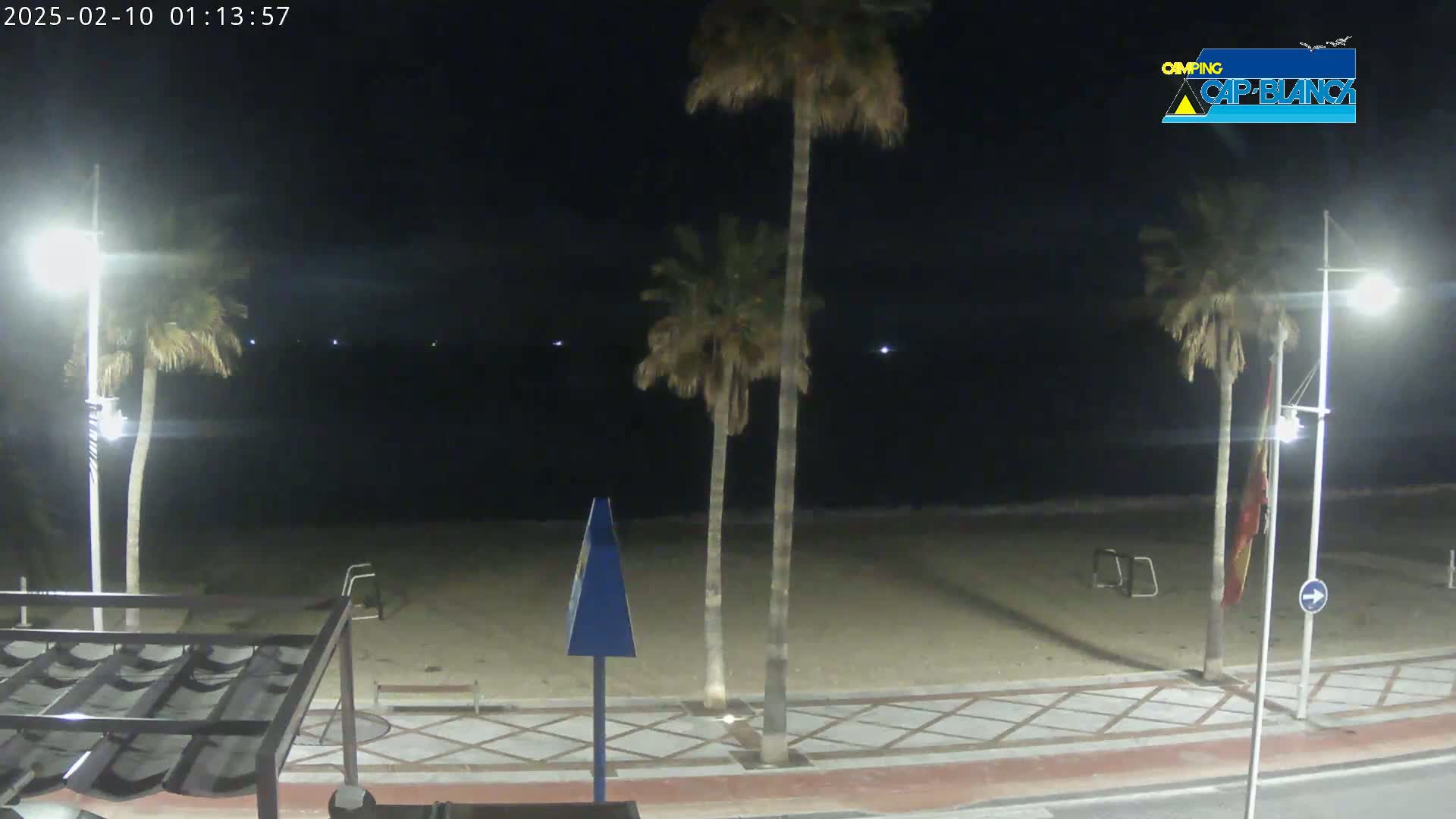 A nighttime beach scene shows a sandy shore, palm trees, streetlights, and a paved walkway under a dark, clear sky.