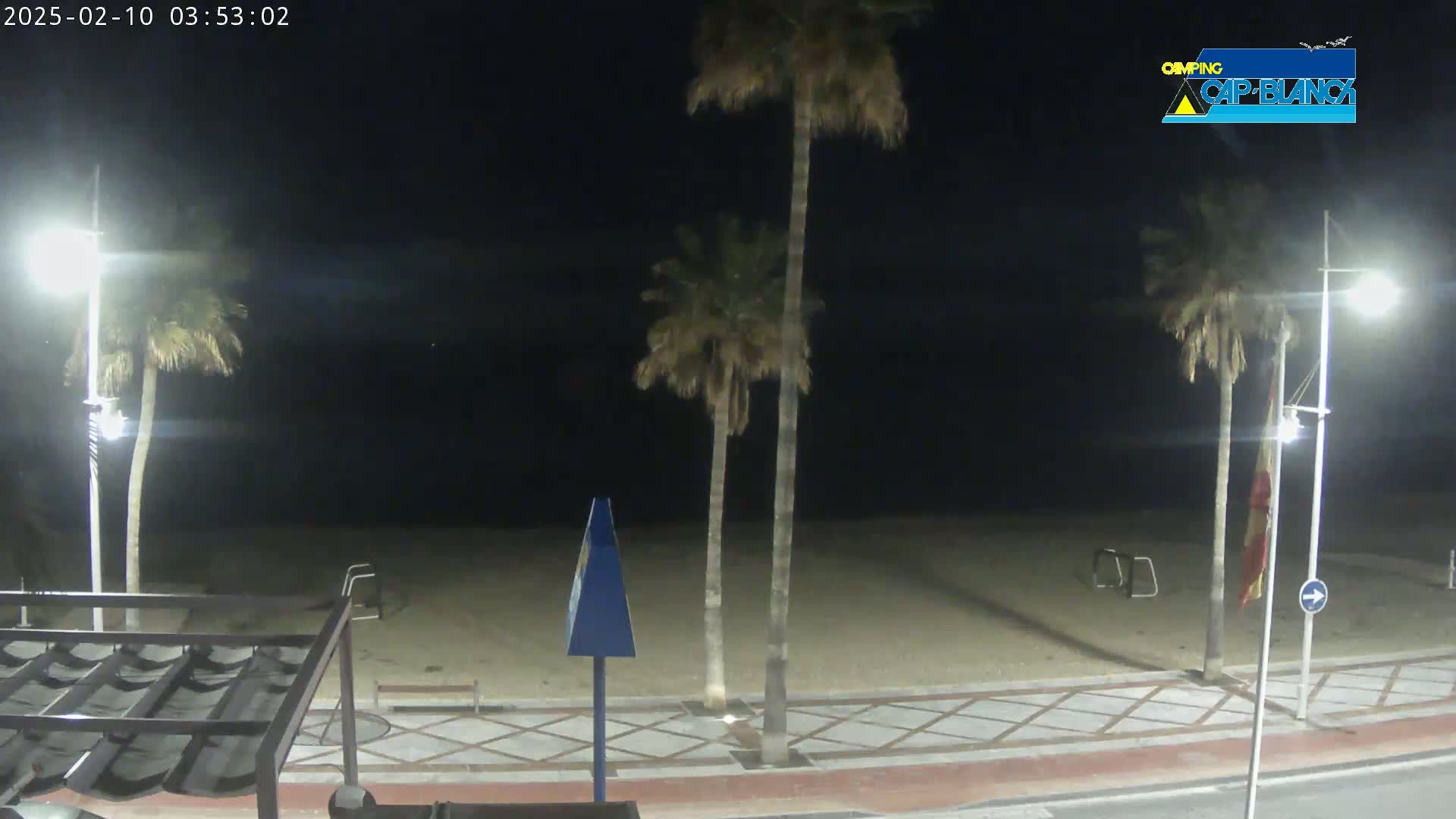 A nighttime view of a sandy beach with palm trees, streetlights, and a paved walkway.