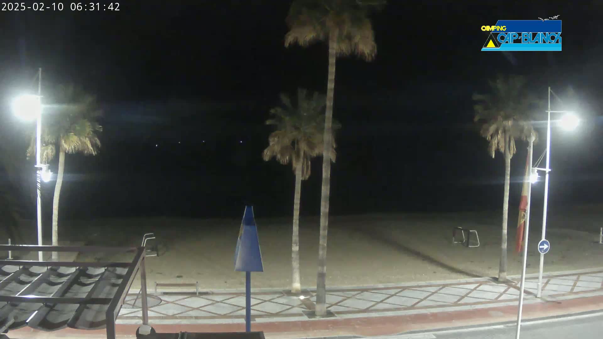 A nighttime view of a sandy beach, palm trees, and a paved walkway, under clear, dark skies.