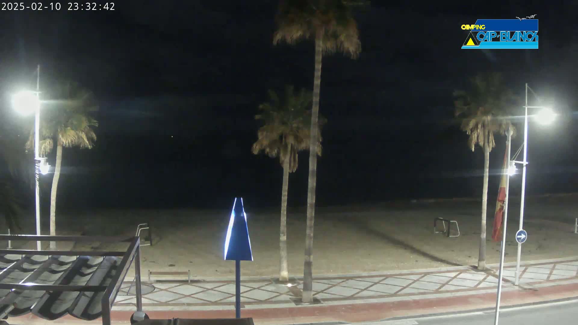 A nighttime beach scene shows palm trees along a sandy shore illuminated by streetlights under a clear, dark sky.