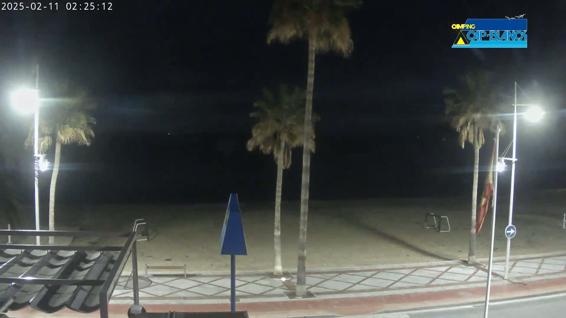 A nighttime view of a sandy beach with palm trees, streetlights, and a paved walkway under a clear, dark sky.