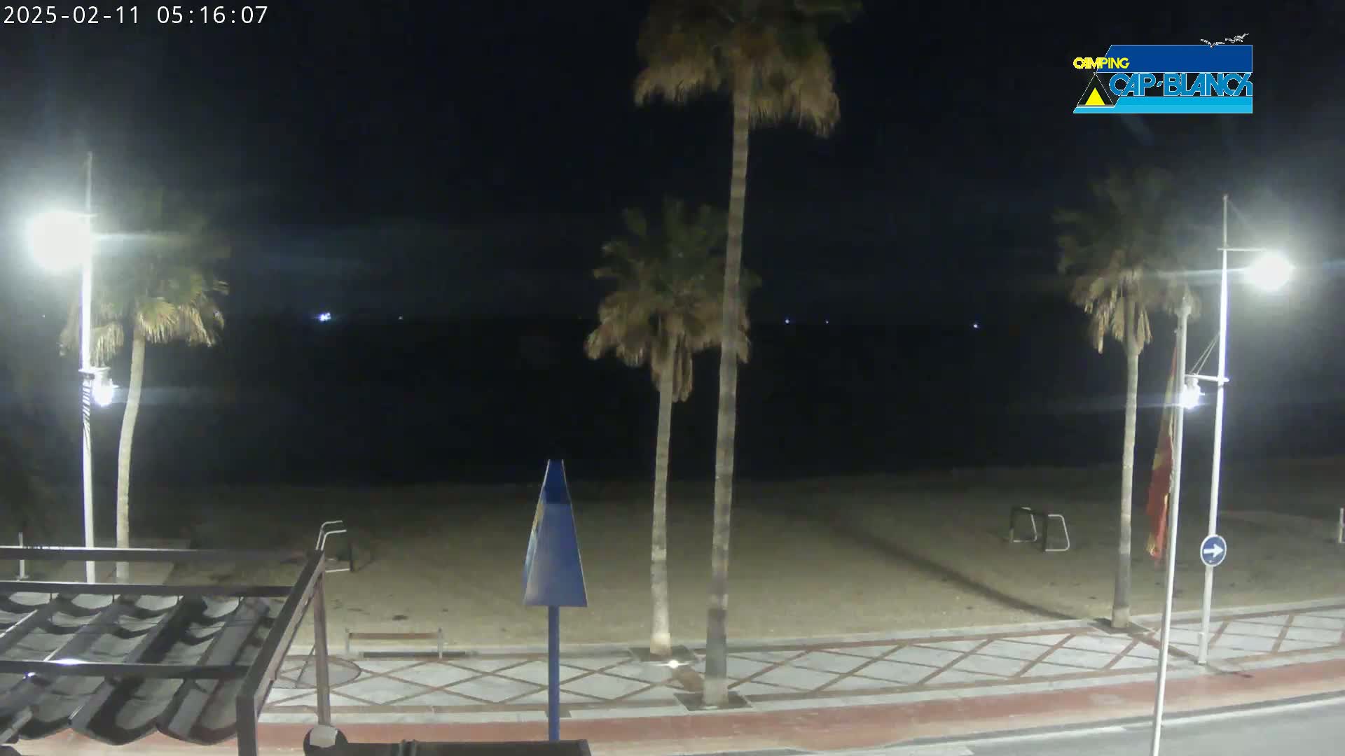 A nighttime view of a beach with palm trees lining a paved walkway, under dark skies.
