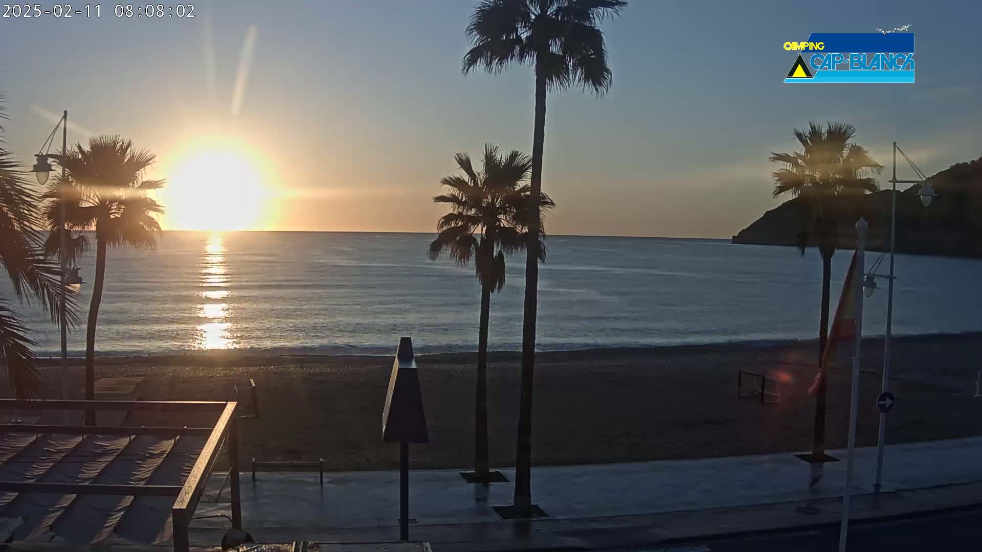 A sunrise over a calm ocean beach with palm trees, seen from a beachfront promenade.