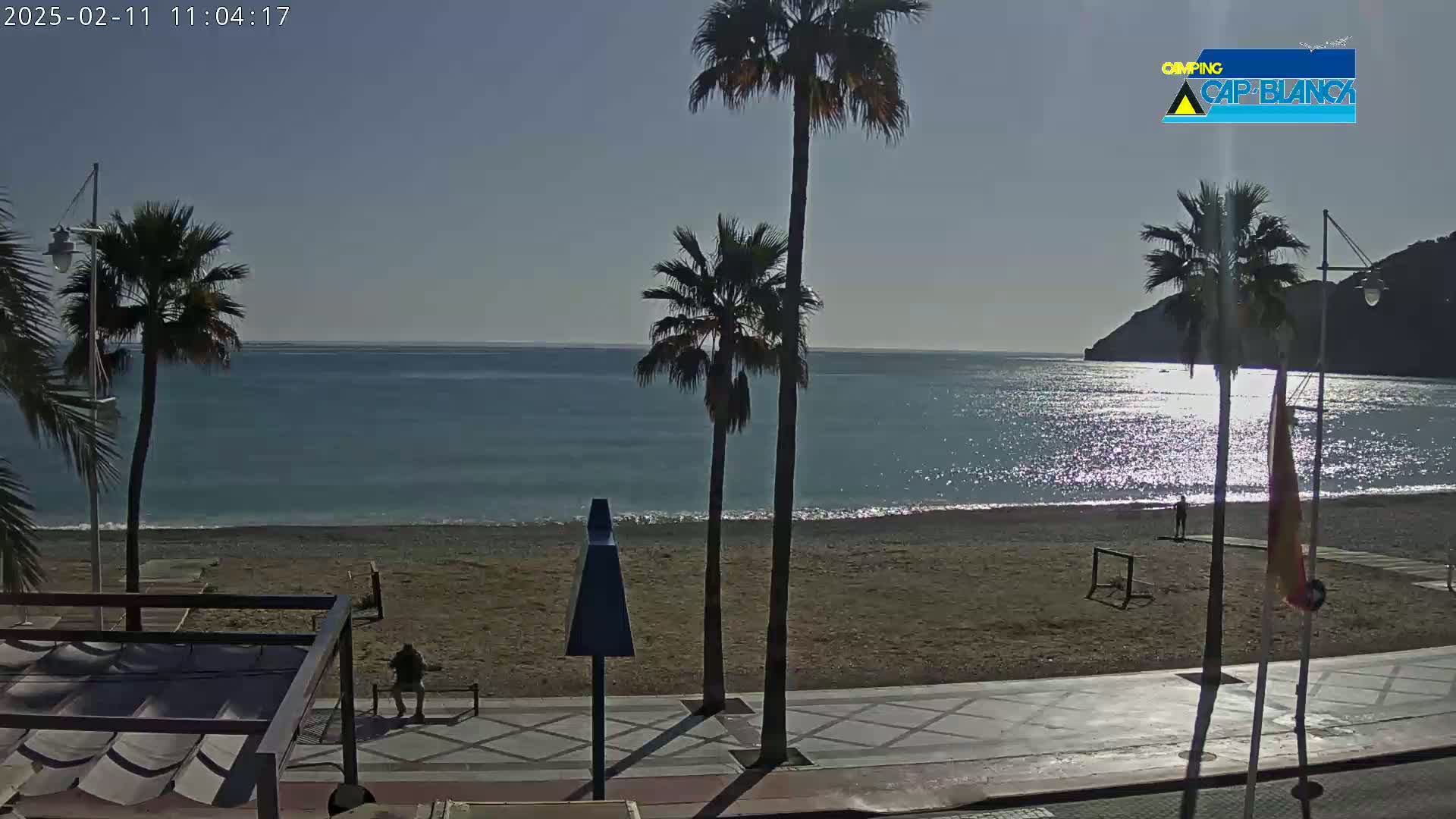 A sunny day at a beach shows palm trees, a sandy shore, calm ocean waters, and a few people.
