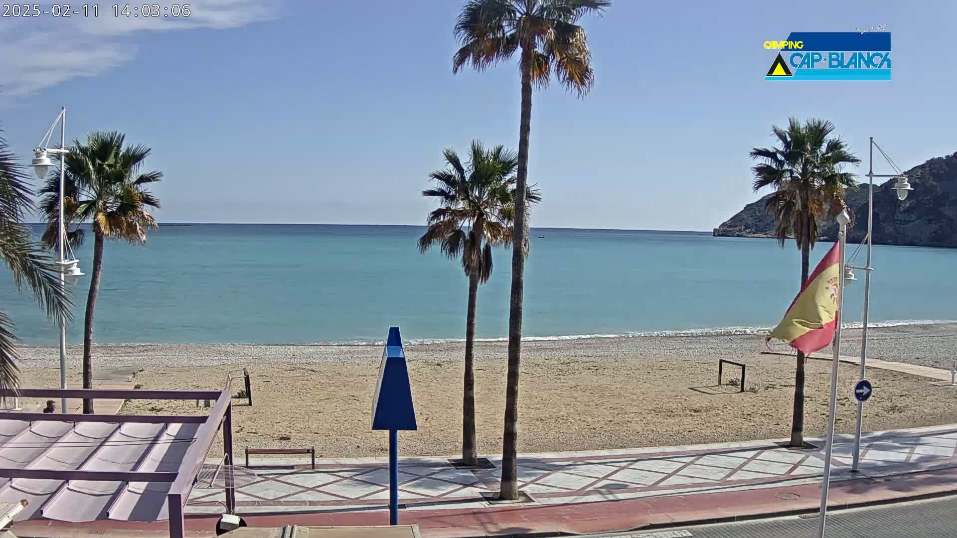 A sandy beach with palm trees and a calm, turquoise ocean under a clear blue sky is seen from a boardwalk.