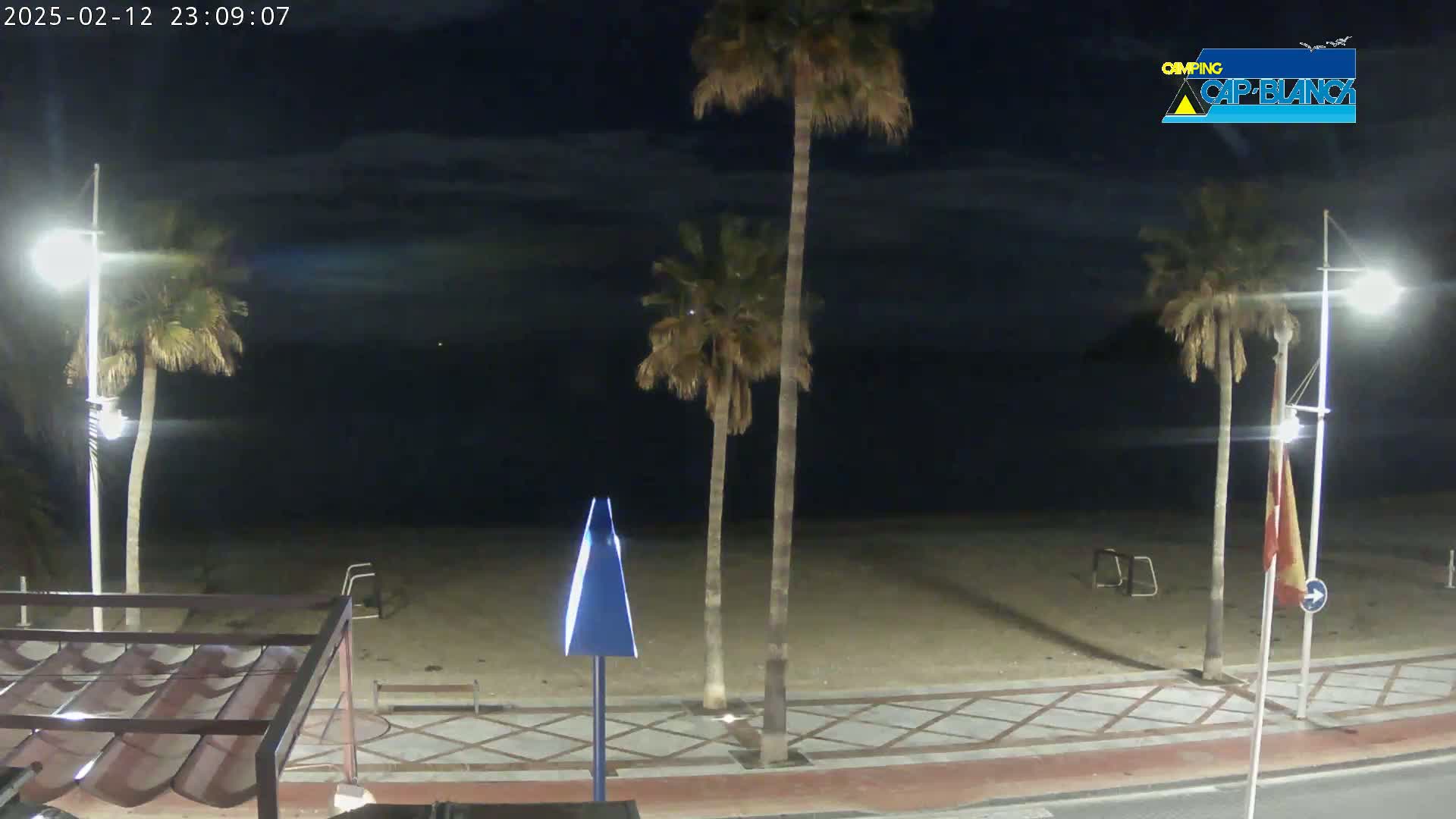 A nighttime beach scene shows a sandy shore, palm trees, streetlights, and a paved walkway under a mostly clear, dark sky.