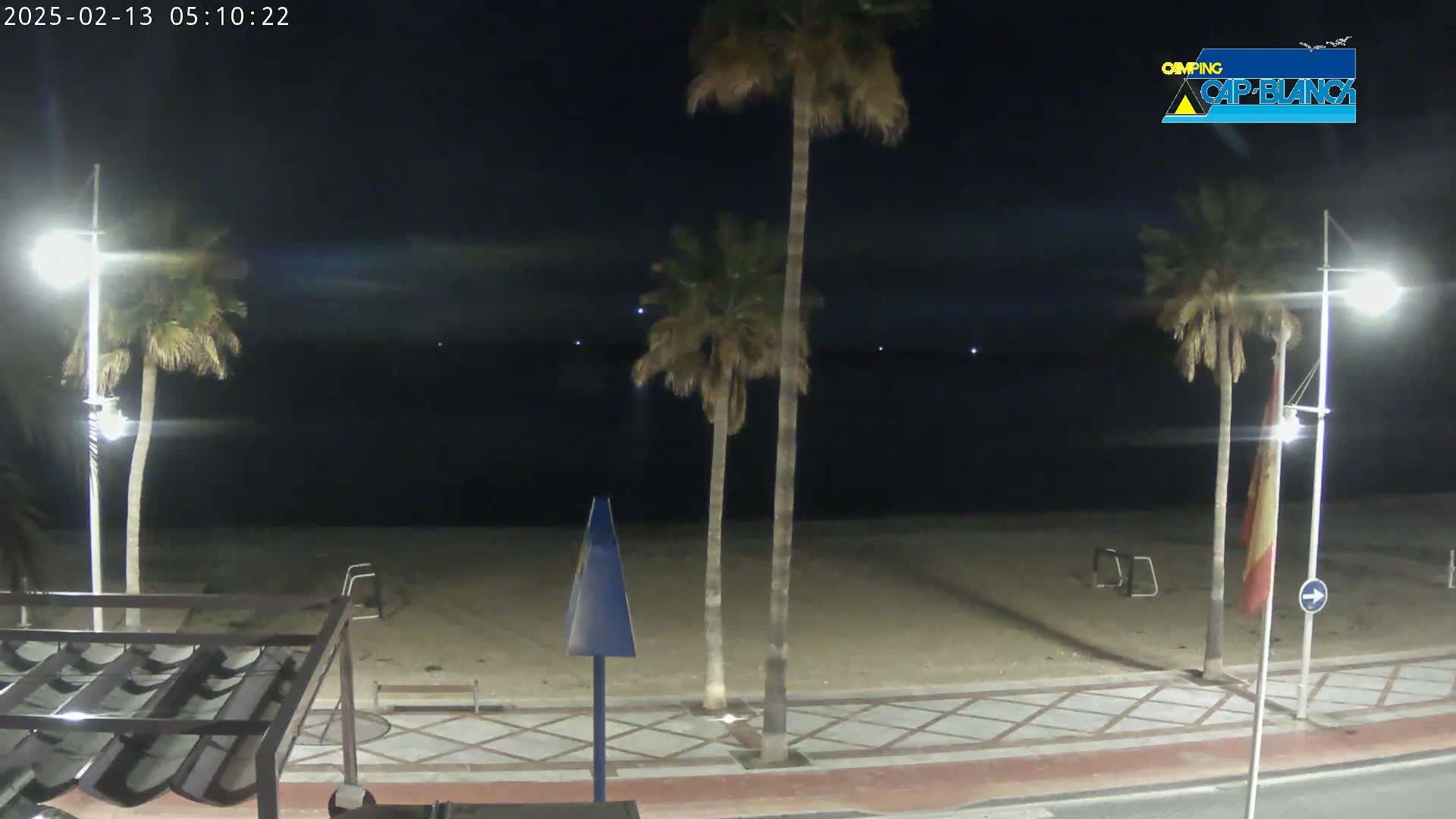 A nighttime beach scene shows palm trees lining a sandy shore under a dark sky.