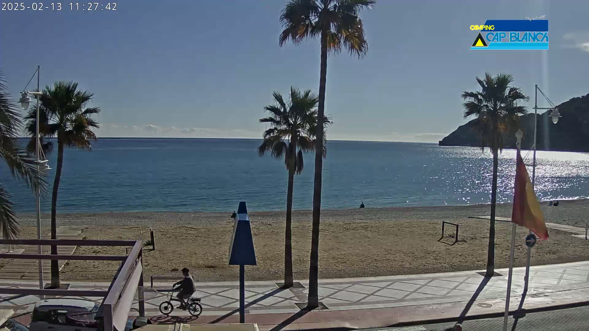 A sunny day at a beach with palm trees, a person riding a bicycle on a paved walkway, and a calm blue sea in the background.
