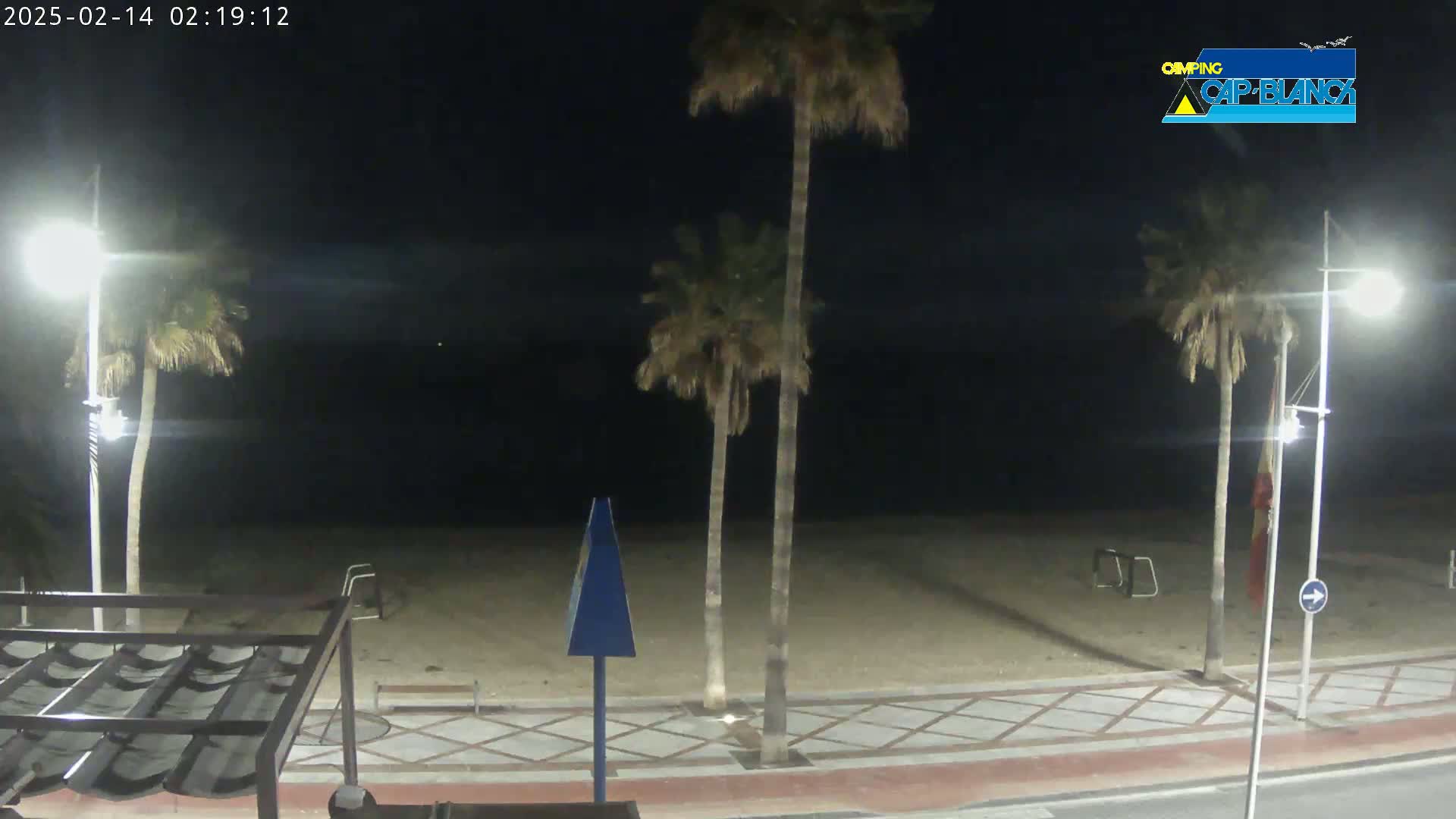 A nighttime view of a sandy beach with palm trees, streetlights, and a paved walkway.