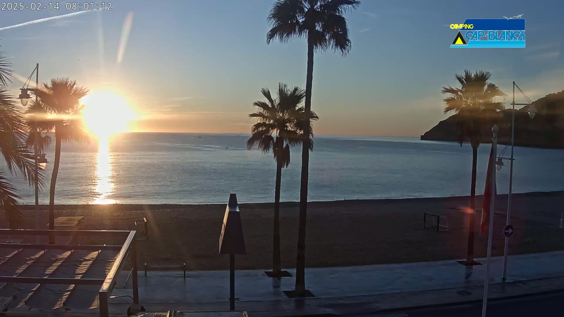 A sunrise over a calm ocean beach, with palm trees silhouetted against the rising sun.