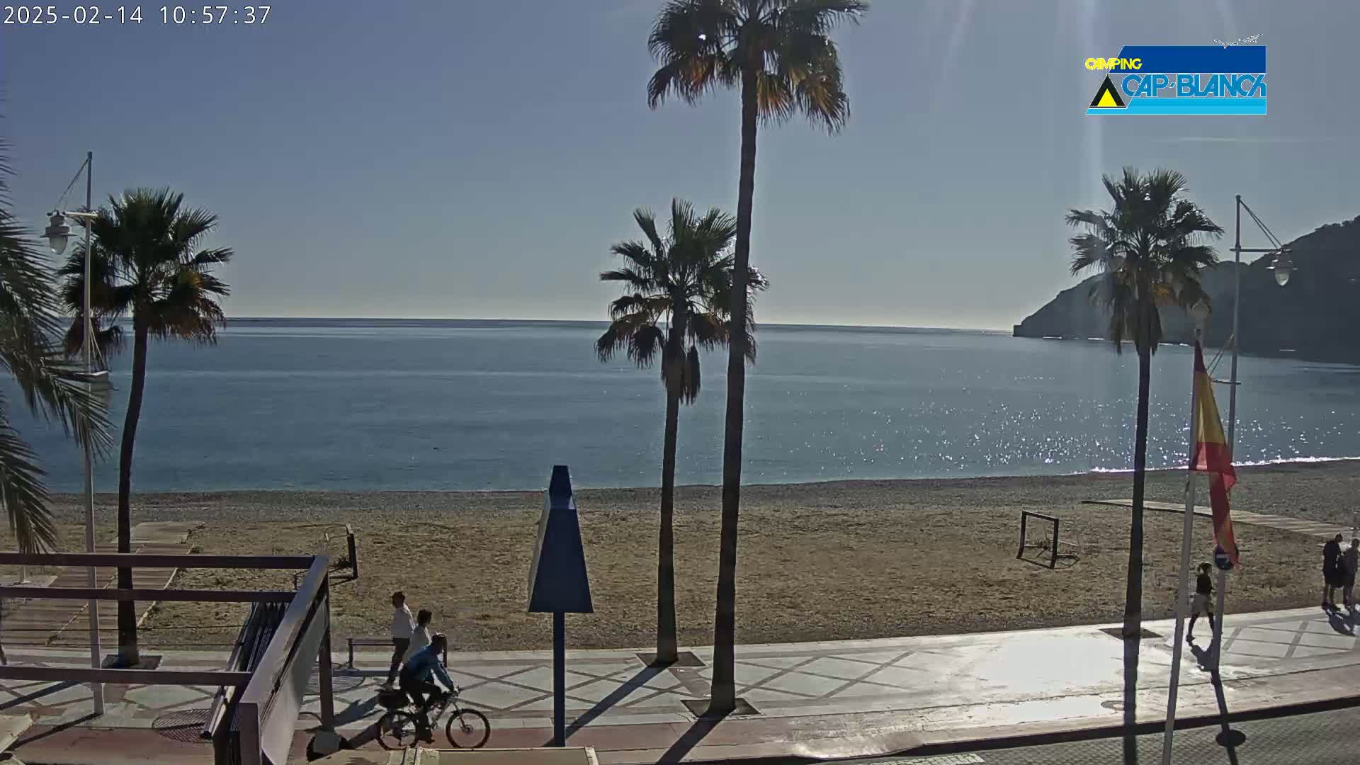 A sandy beach with palm trees and a calm, sunny ocean is seen from a boardwalk with several people walking and riding bicycles.