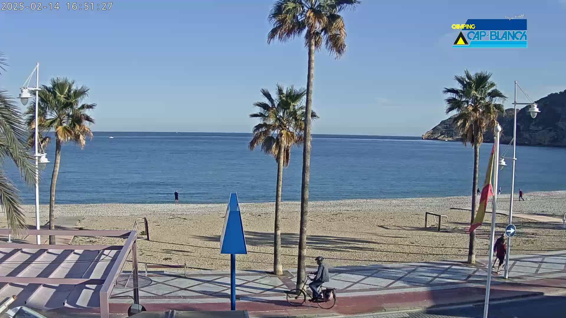 A sandy beach with palm trees and a calm ocean under a clear blue sky is viewed from a promenade where a person is biking.