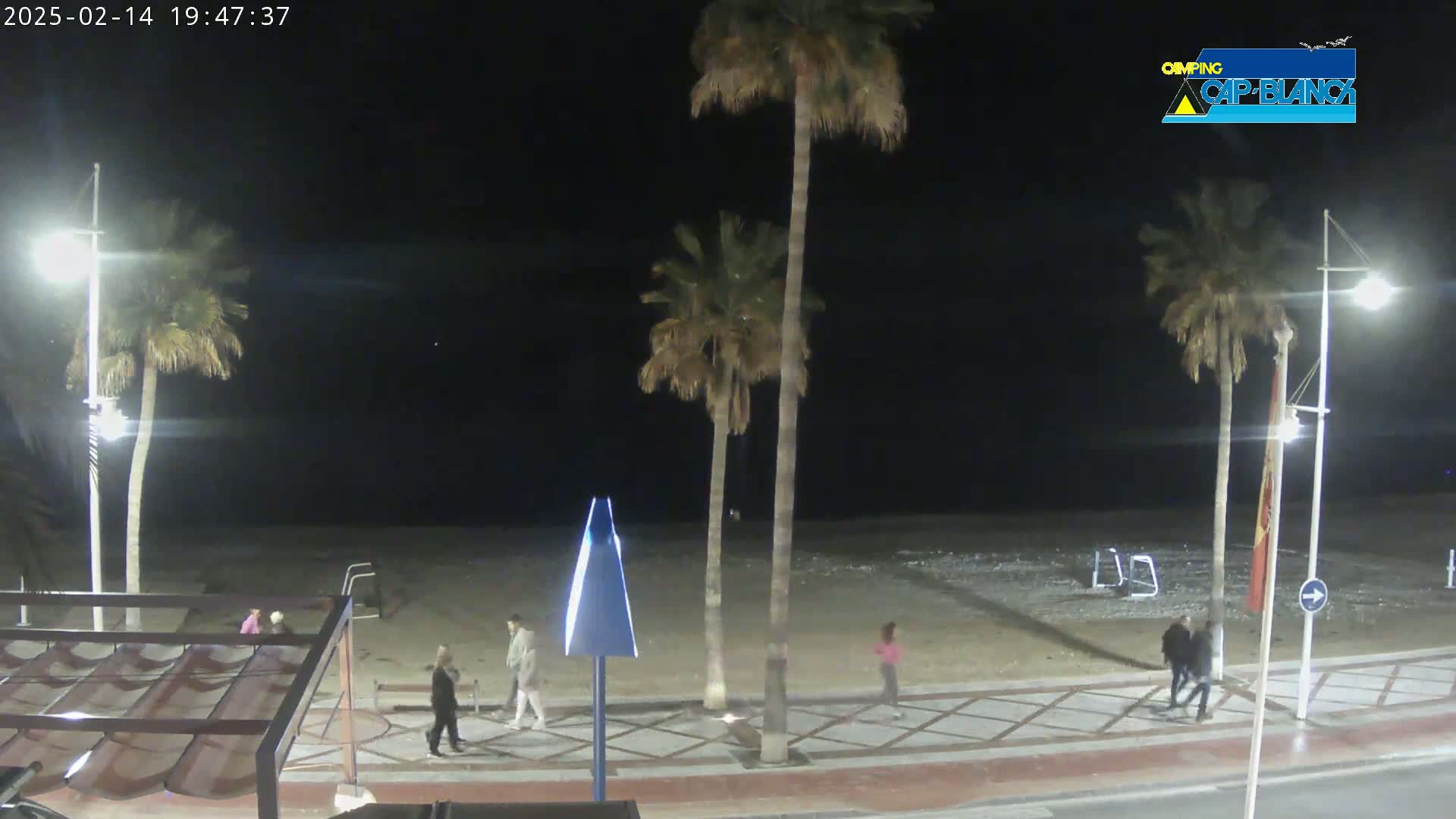 A nighttime view of a beach with several people walking along a paved walkway next to palm trees under a clear, dark sky.