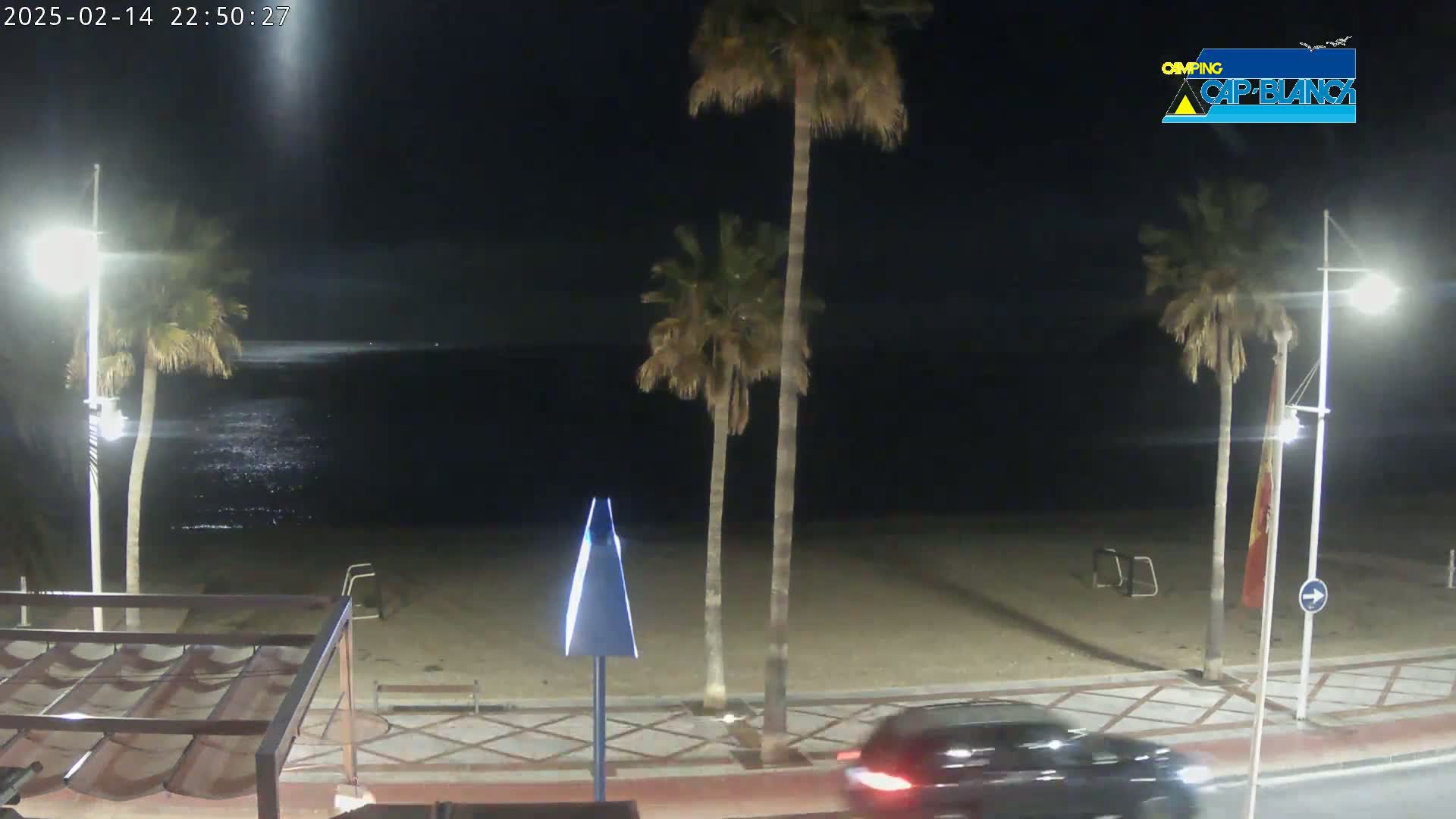 At night, a mostly empty sandy beach is illuminated by streetlights, with palm trees lining the shore and a car driving along the road nearby.