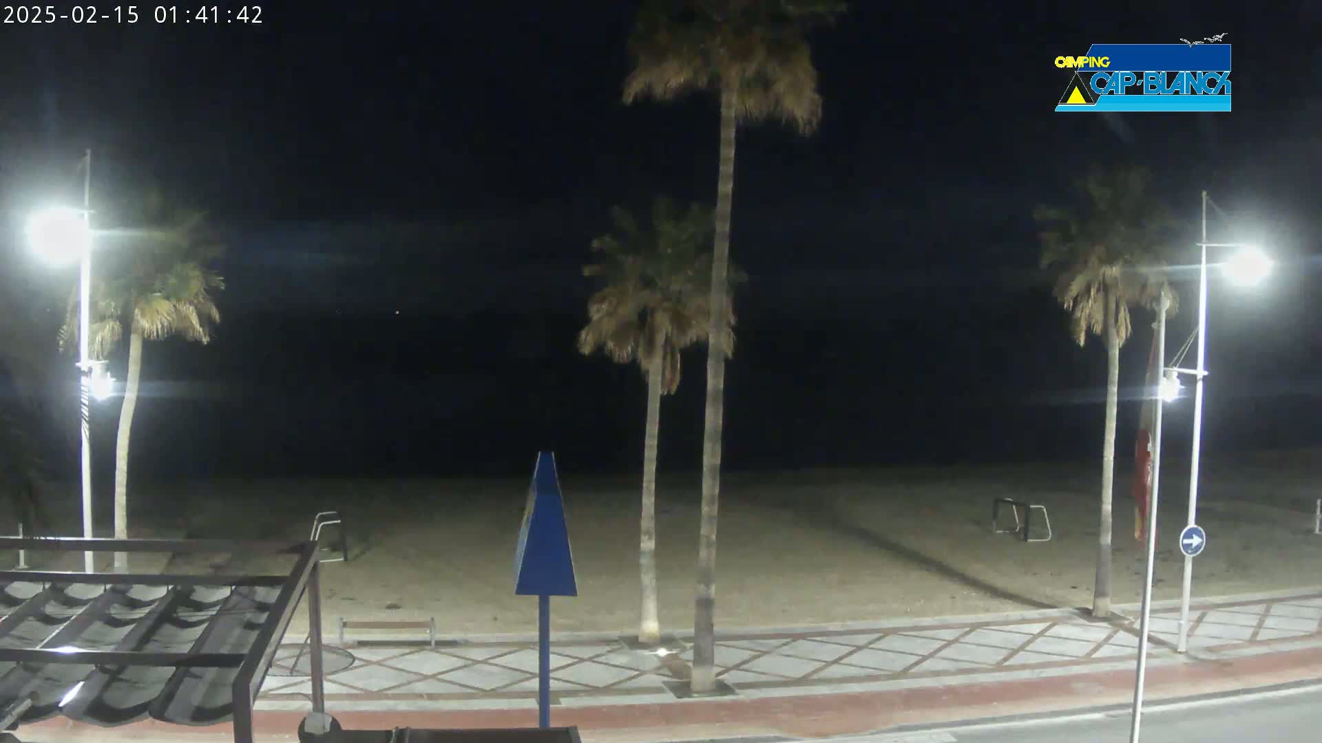 A nighttime view of a sandy beach with palm trees, streetlights, and a walkway.