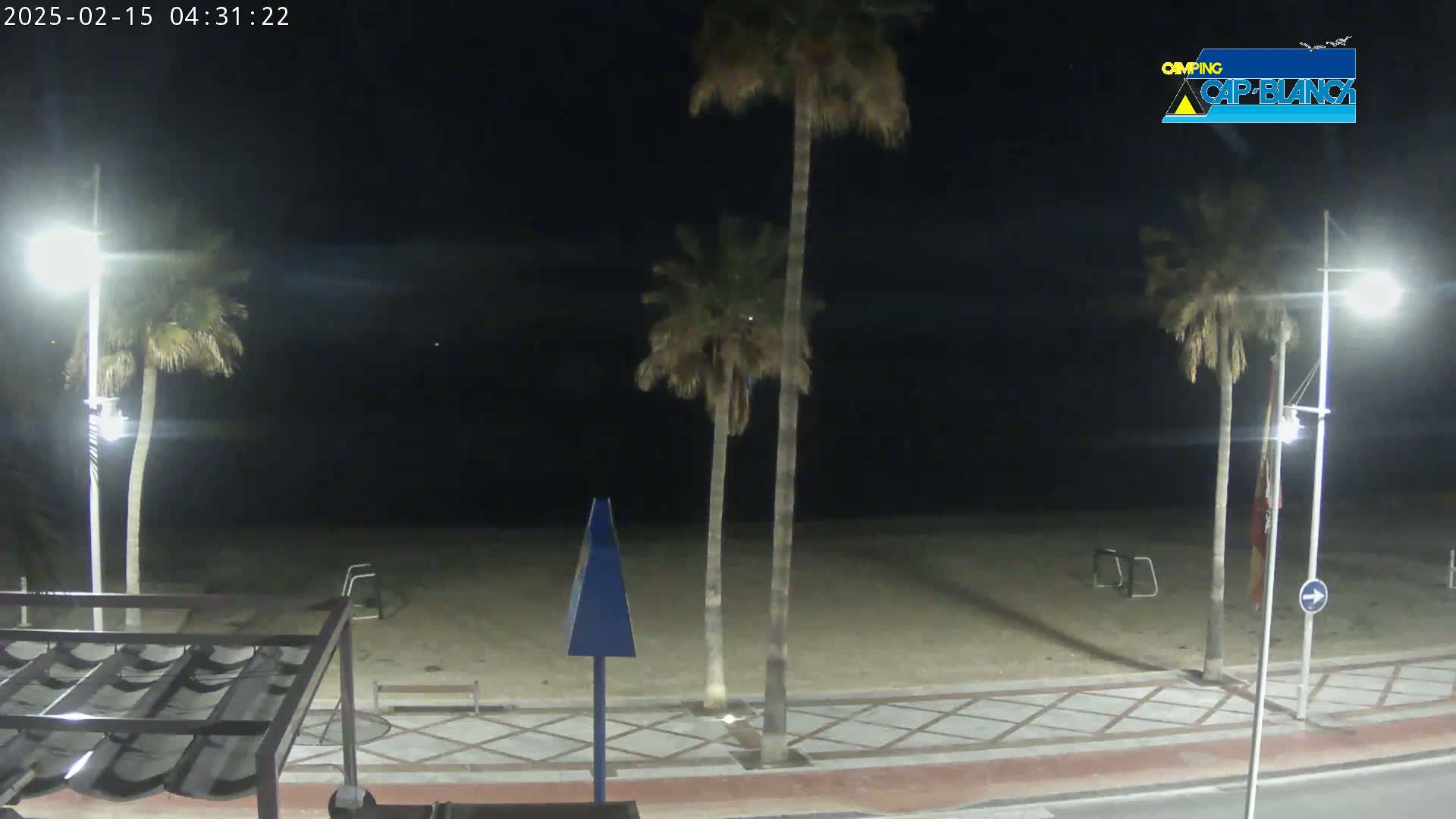 A nighttime view of a sandy beach, palm trees, and streetlights, with a clear sky.