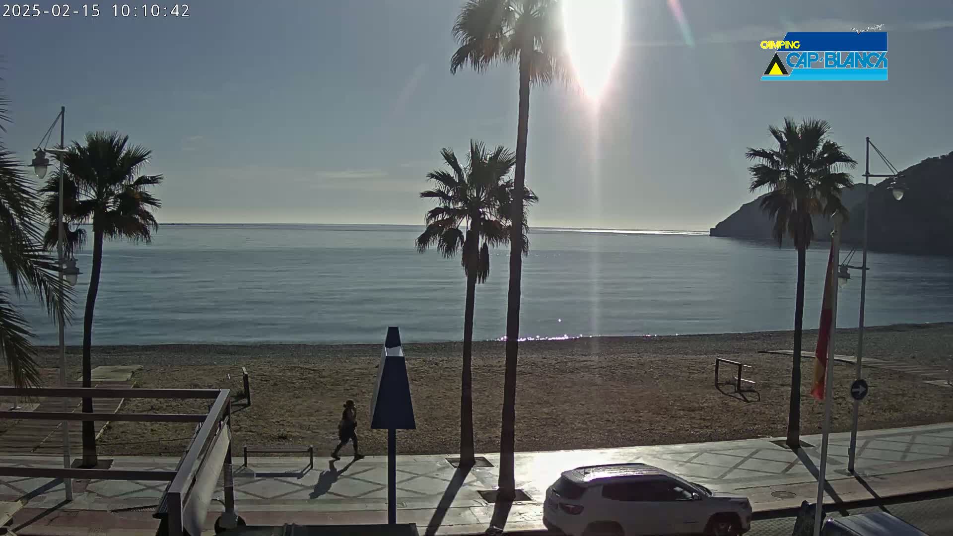 A sunny day at a beach shows a calm sea, a sandy shore with a few palm trees, and a person walking along a paved walkway next to a parked car.