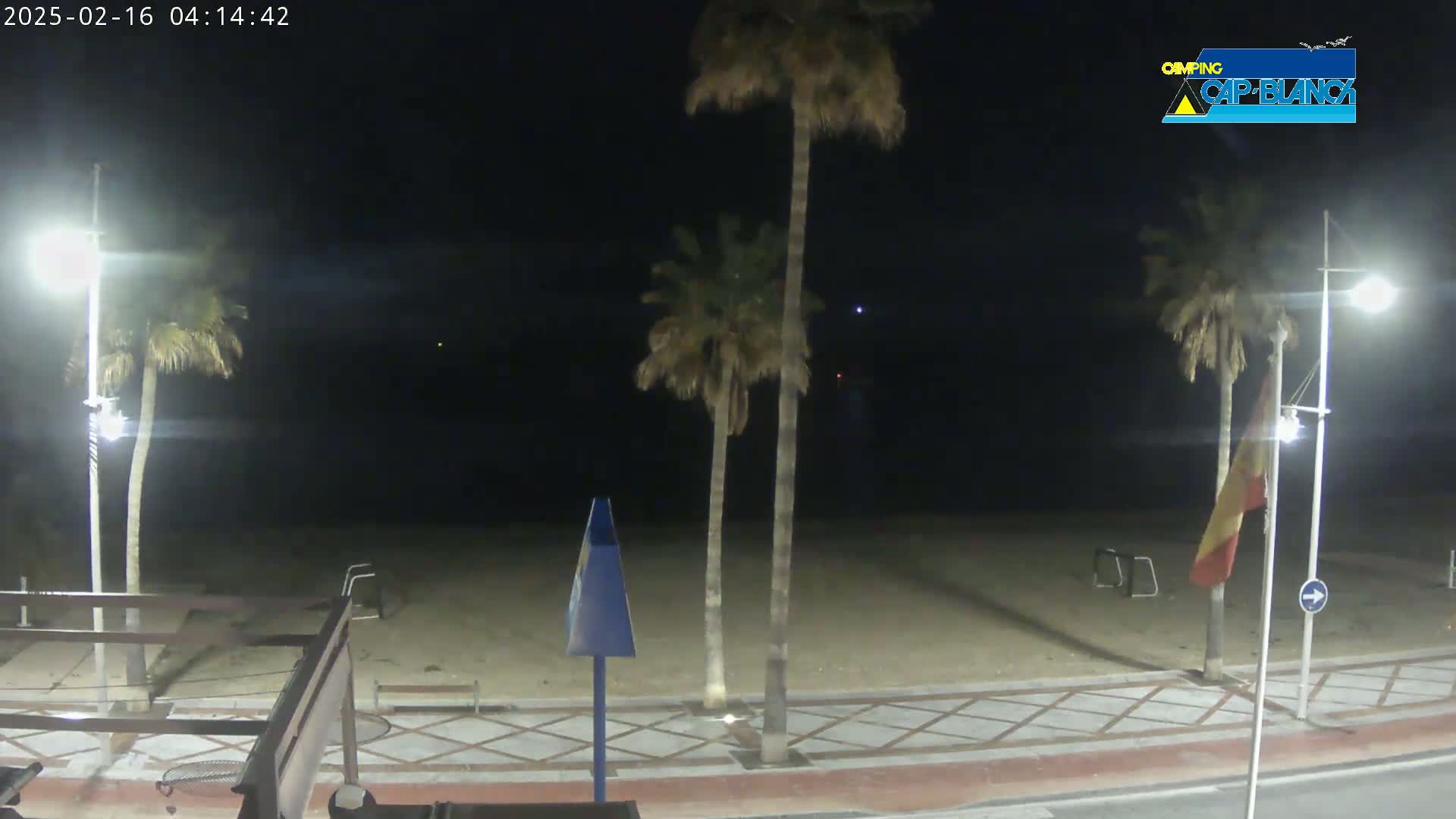 A nighttime view of a sandy beach, palm trees, and streetlights along a paved walkway.