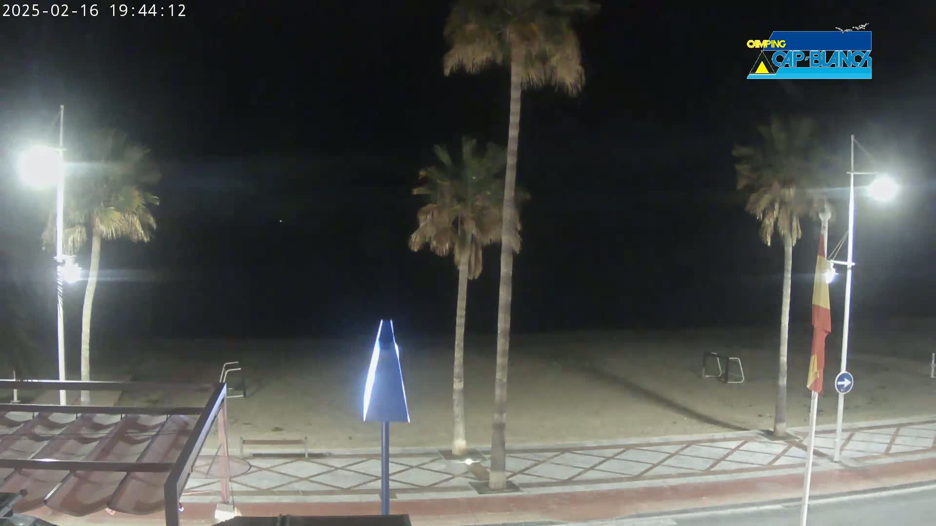 A nighttime view of a sandy beach with palm trees, streetlights, and a paved walkway.