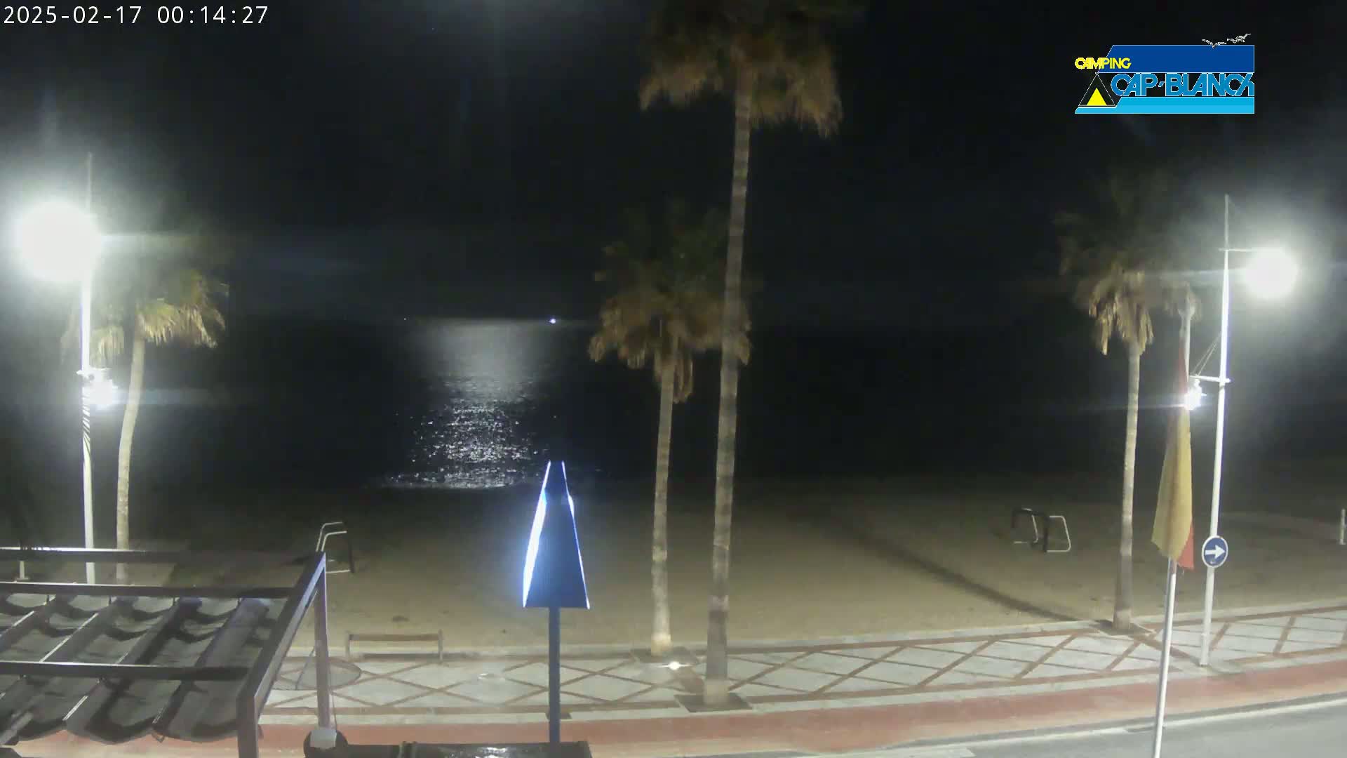 A nighttime view of a sandy beach with palm trees, streetlights, and a calm ocean under a dark sky.