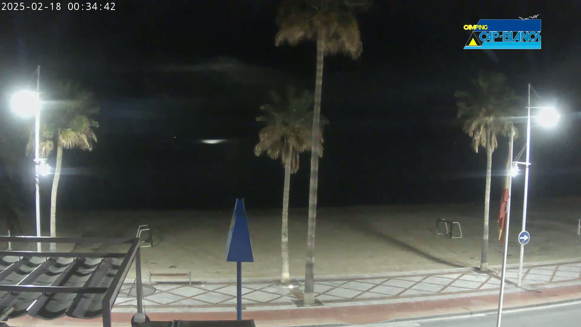 A nighttime view of a mostly empty beach with palm trees and streetlights under a partly cloudy sky.