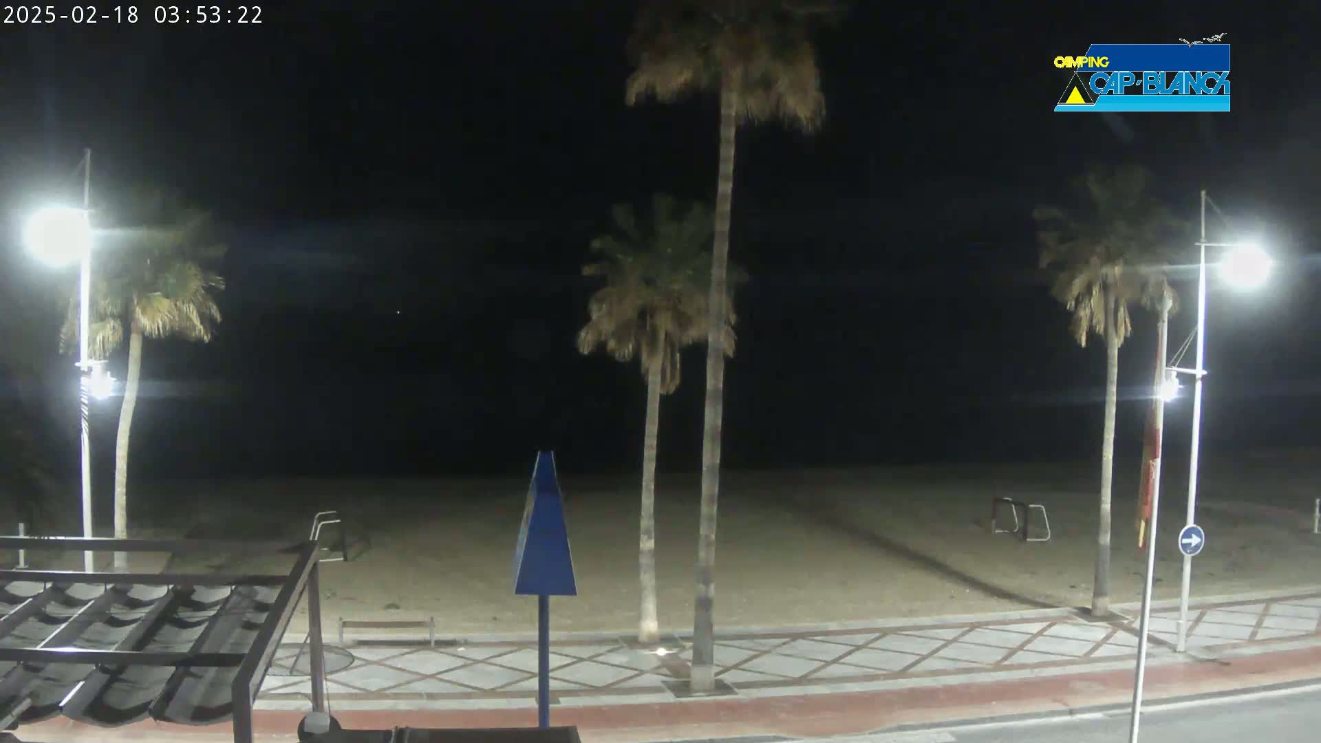 A nighttime view of a sandy beach bordered by a paved walkway, palm trees, and streetlights.