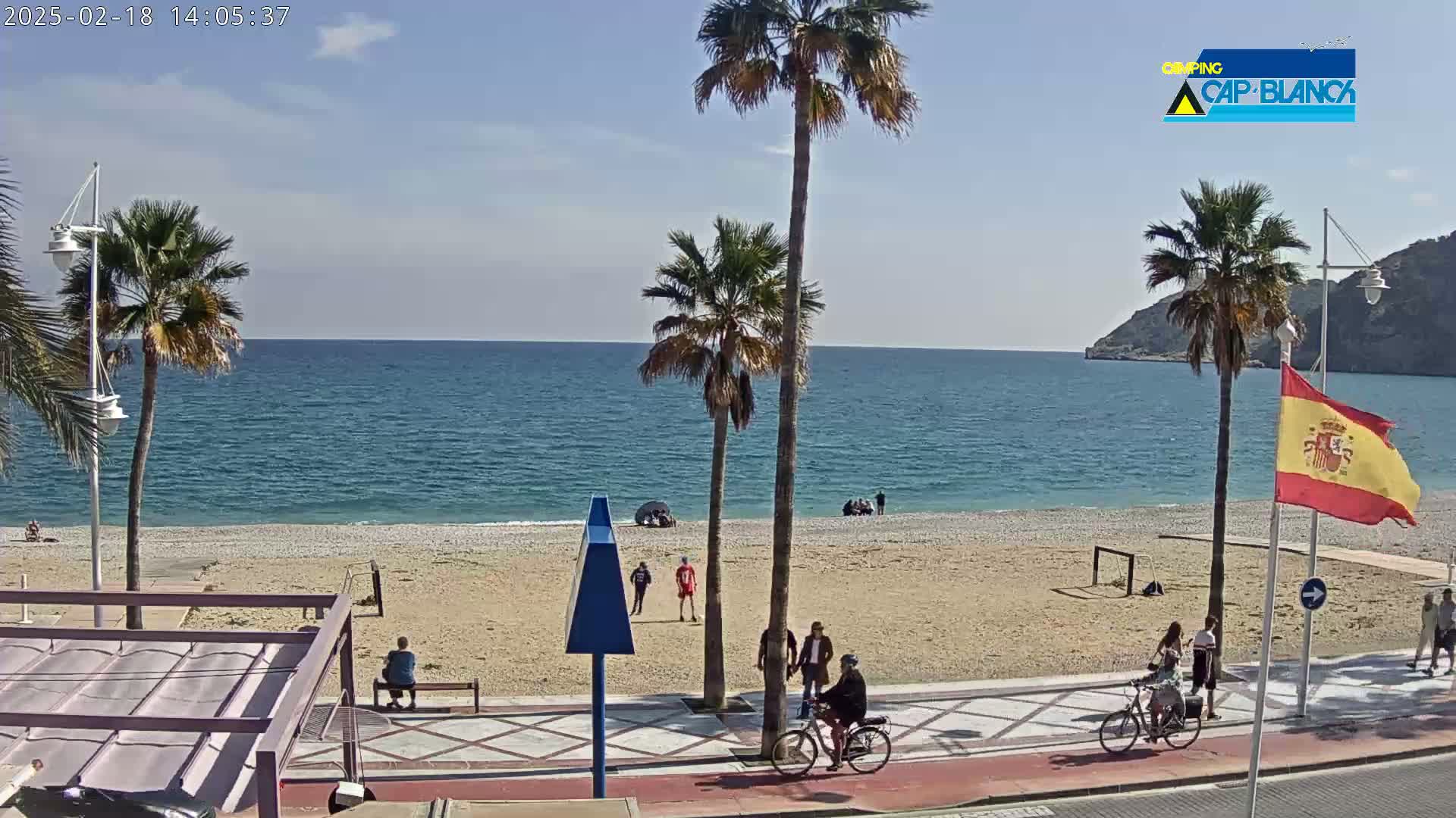 A sunny beach scene shows a calm sea, sandy beach, palm trees, a few people, and bicycles along a paved walkway.
