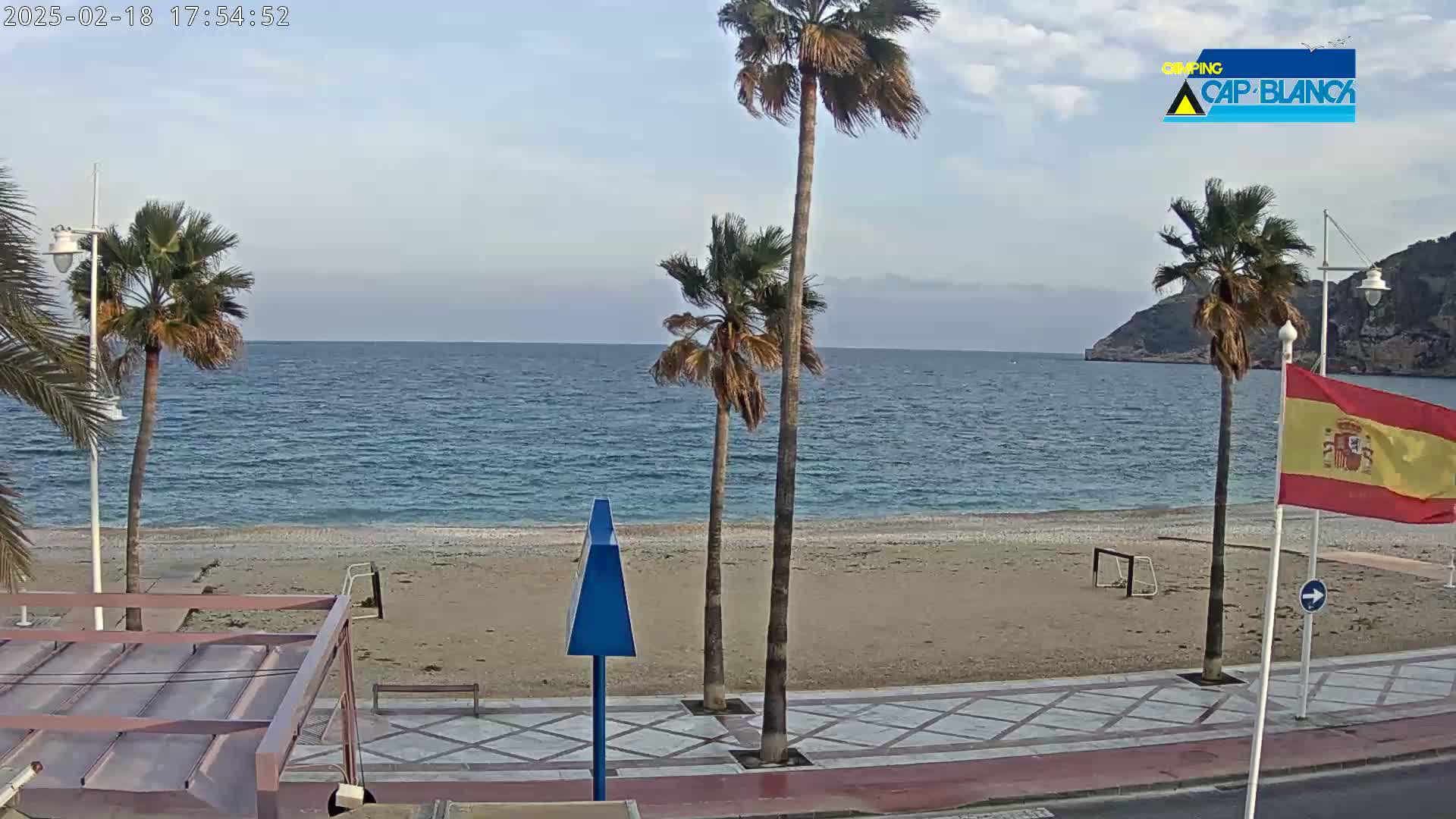 A sandy beach with palm trees and a calm ocean under a mostly clear sky.
