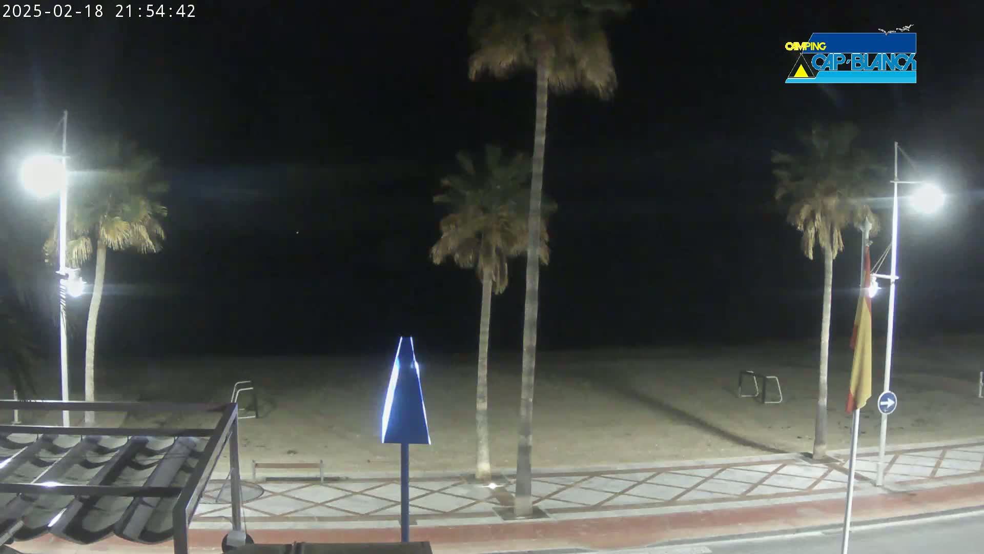 A nighttime view of a beach at night with palm trees, streetlights, and a paved walkway.