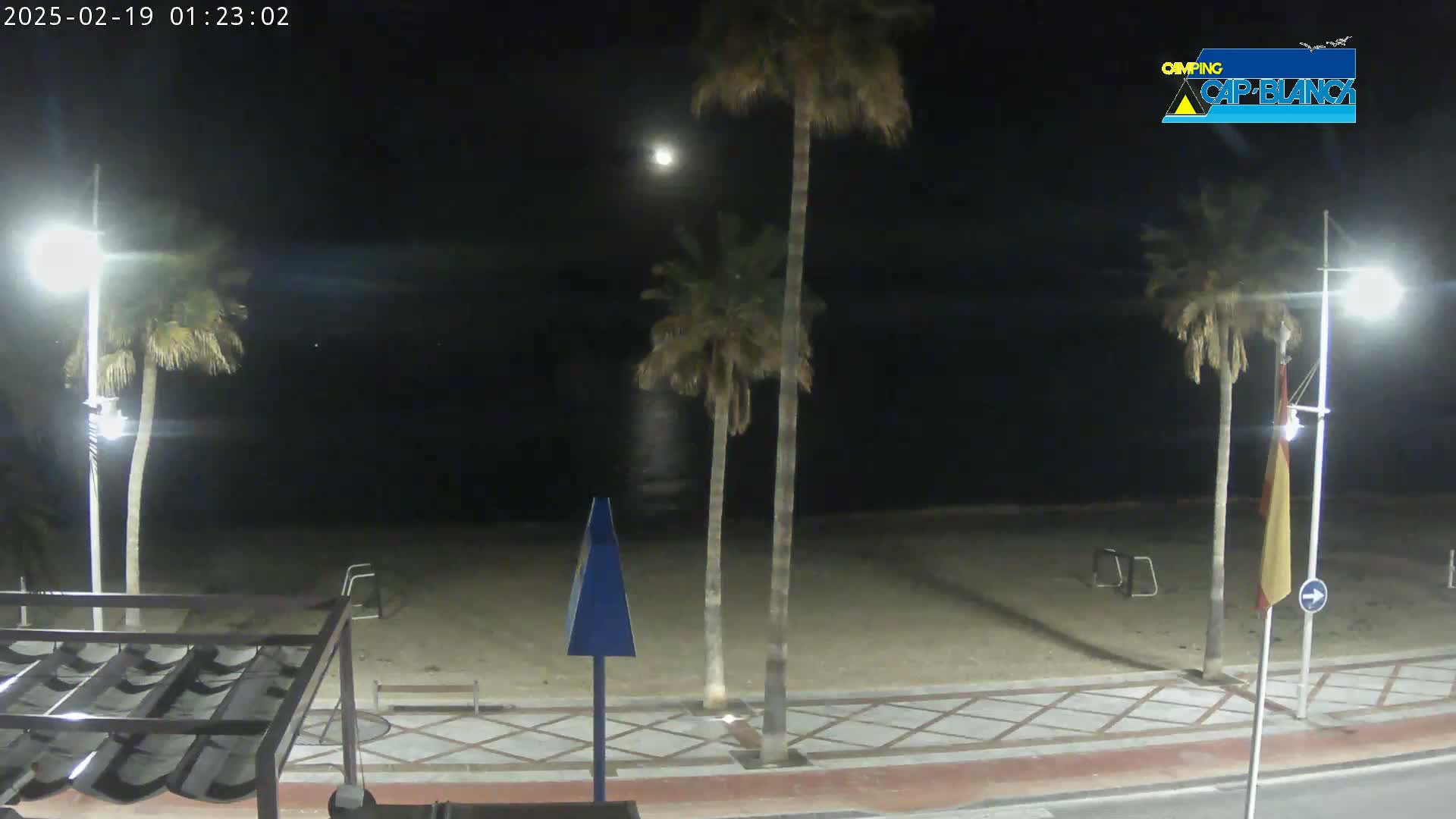 A moonlit night scene shows a sandy beach area with palm trees, streetlights, and a paved walkway.
