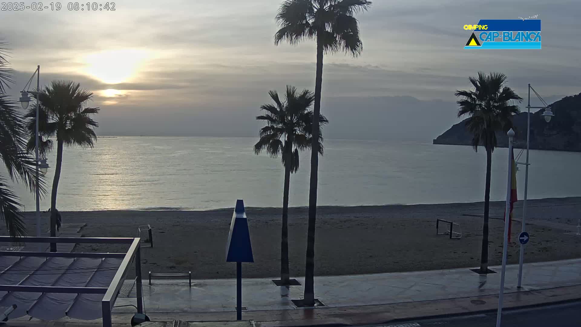 A calm sea at sunrise is viewed from a beach promenade lined with palm trees, under a mostly cloudy sky.