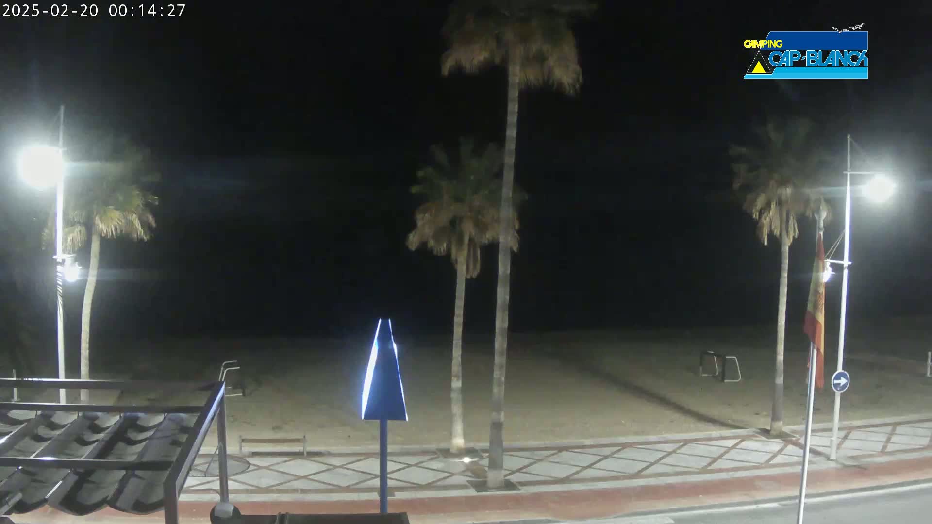 A nighttime view of a sandy beach with palm trees, streetlights, and a tiled walkway under a clear, dark sky.