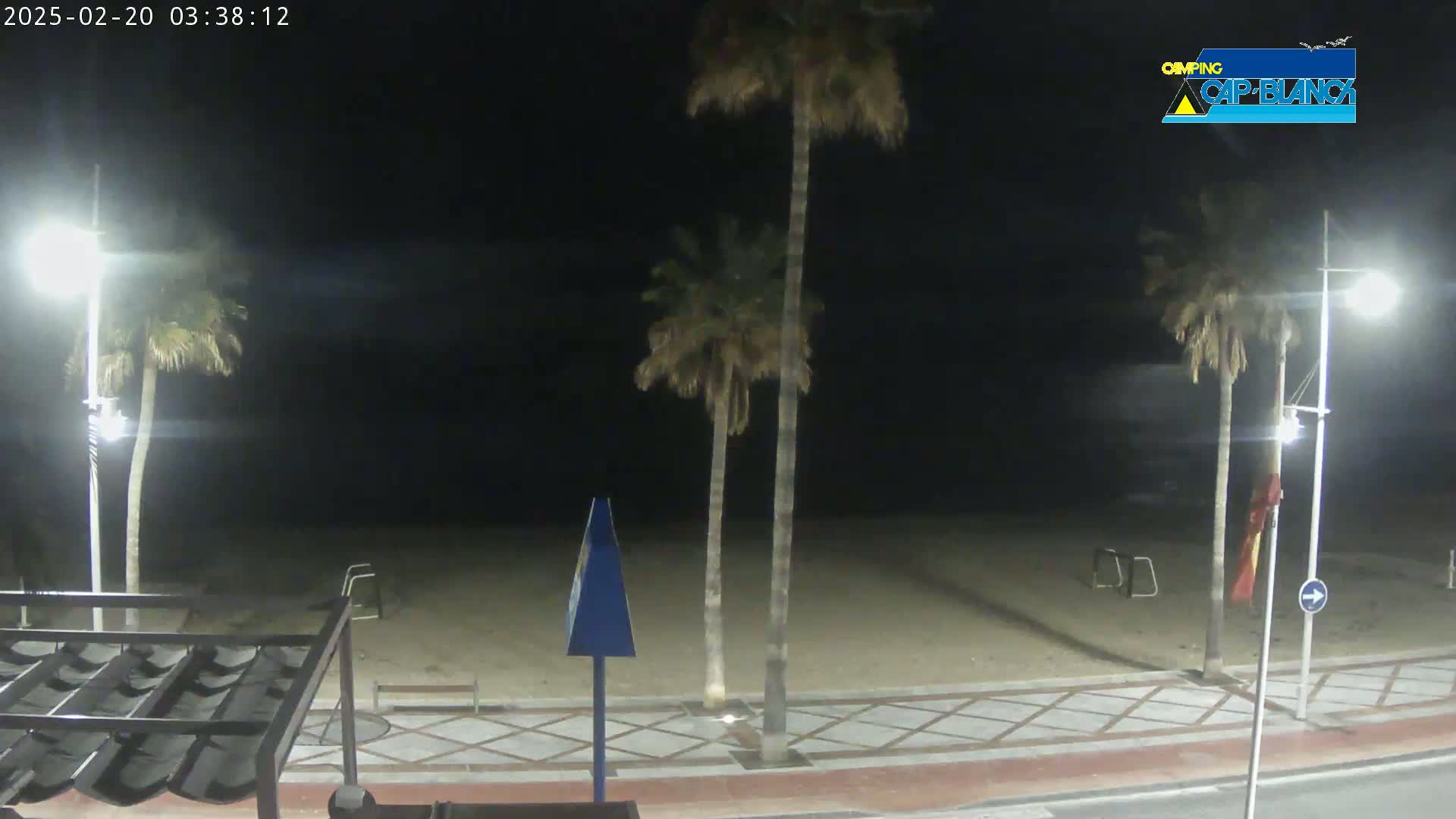 A nighttime view of a sandy beach with palm trees and streetlights, under a dark sky.