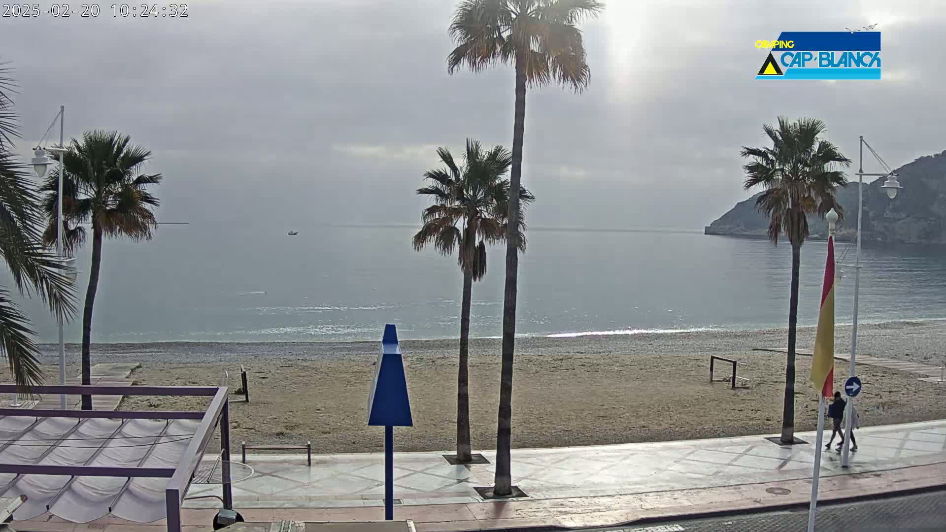 A beach with several palm trees and a calm, overcast ocean is viewed from a beachfront promenade.