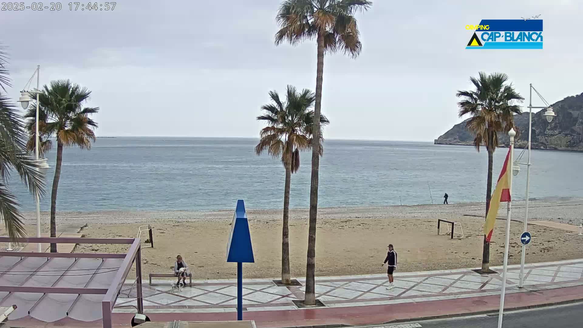 A mostly sunny day shows a sandy beach with palm trees, a few people, and a calm sea stretching to a distant mountain.