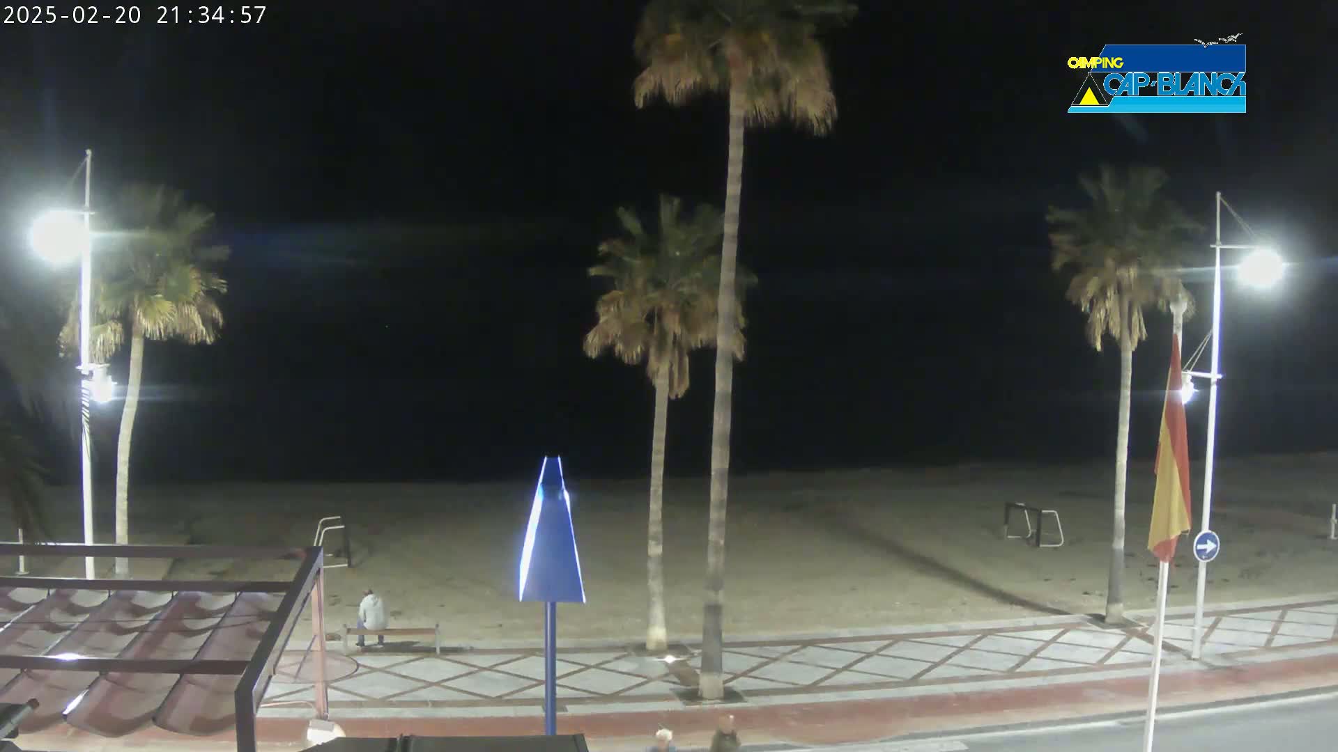 A nighttime view of a sandy beach with palm trees, streetlights, and a few people, under a clear, dark sky.