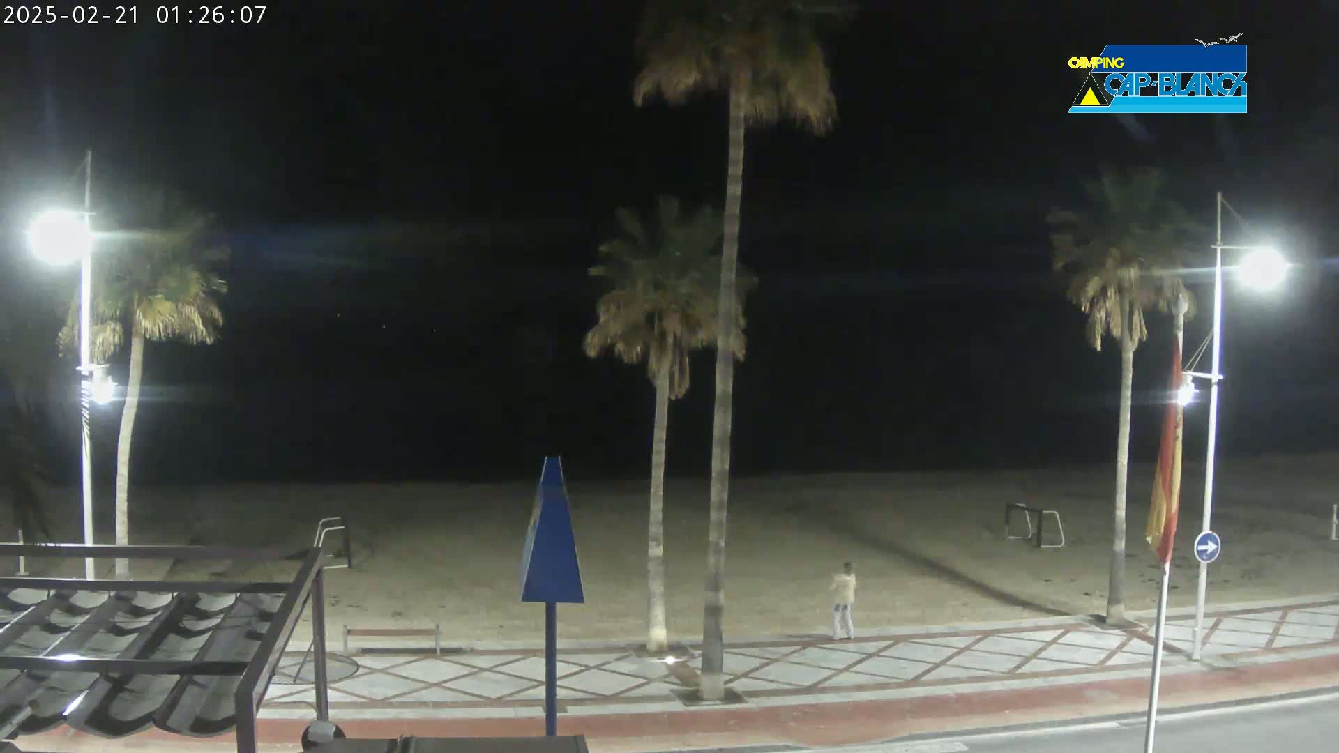 A nighttime view of a sandy beach with palm trees, streetlights, and a person walking along a paved walkway.