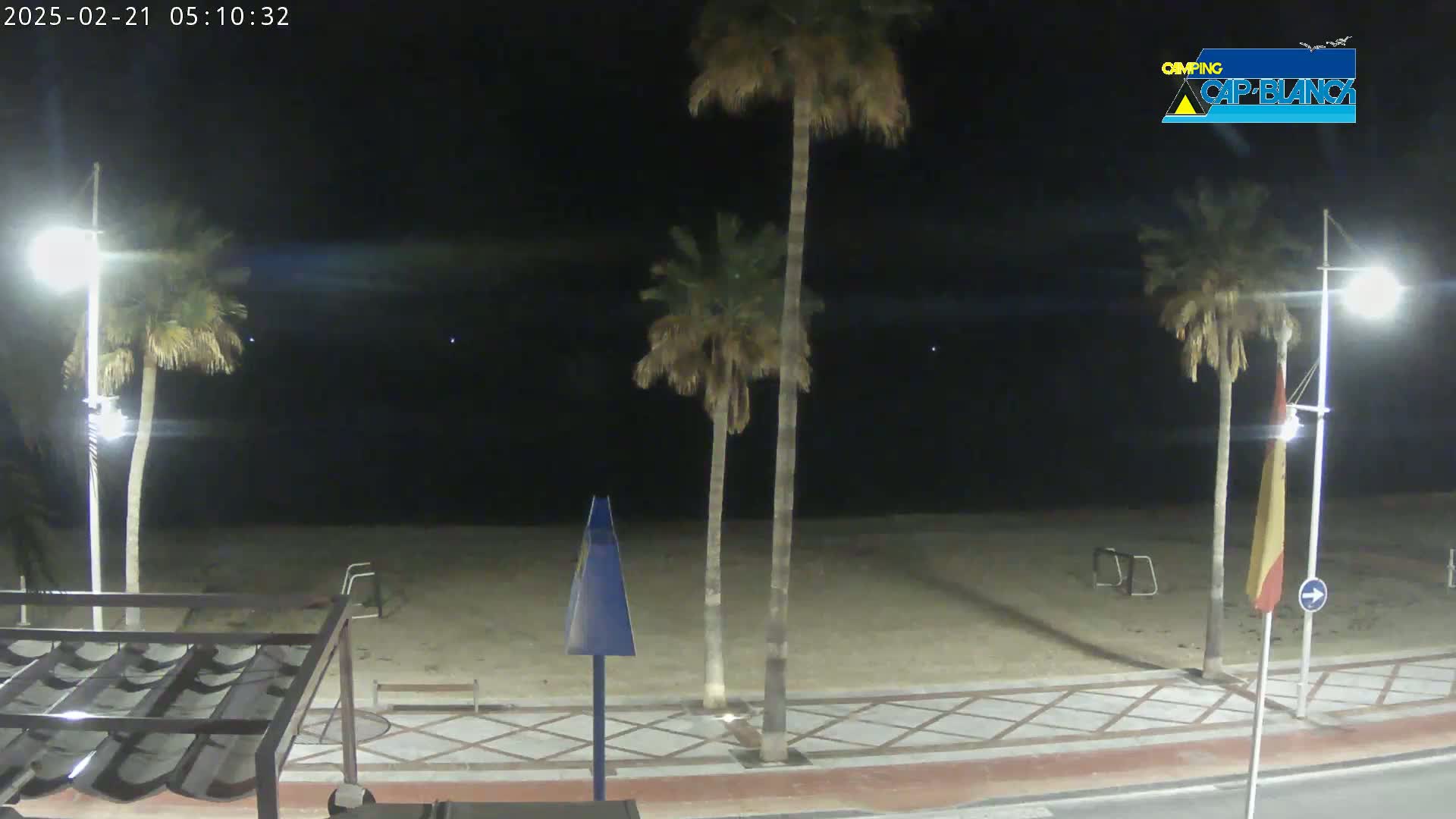 A nighttime view of a sandy beach with palm trees, streetlights, and a paved walkway.